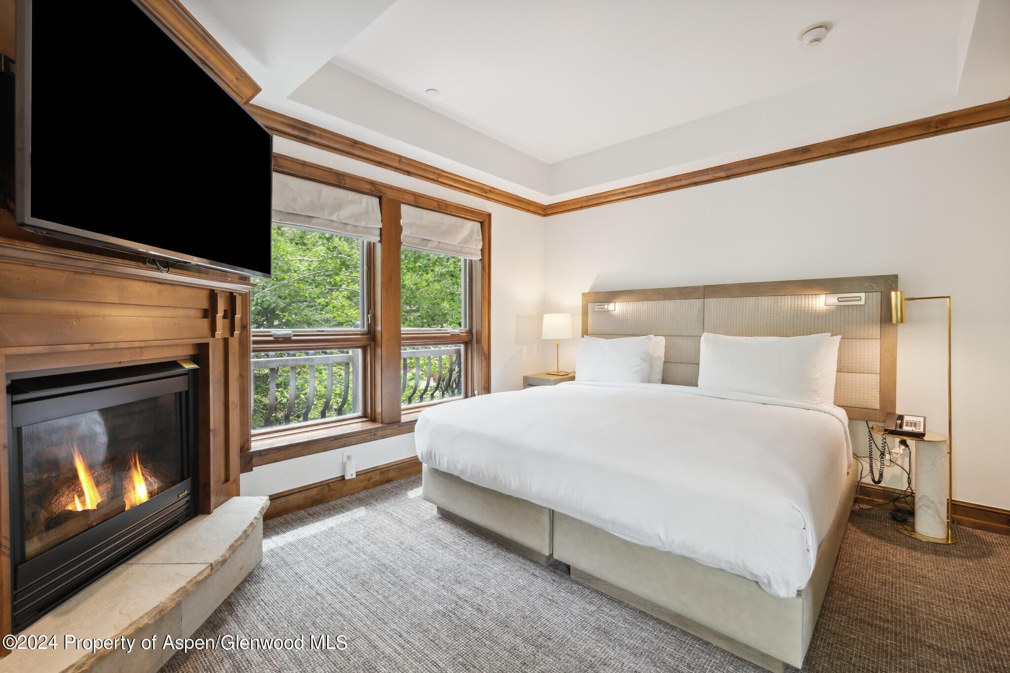 415 E Dean St, Unit 17, Weeks 32/33, Aspen, CO 81611 - Photo 17