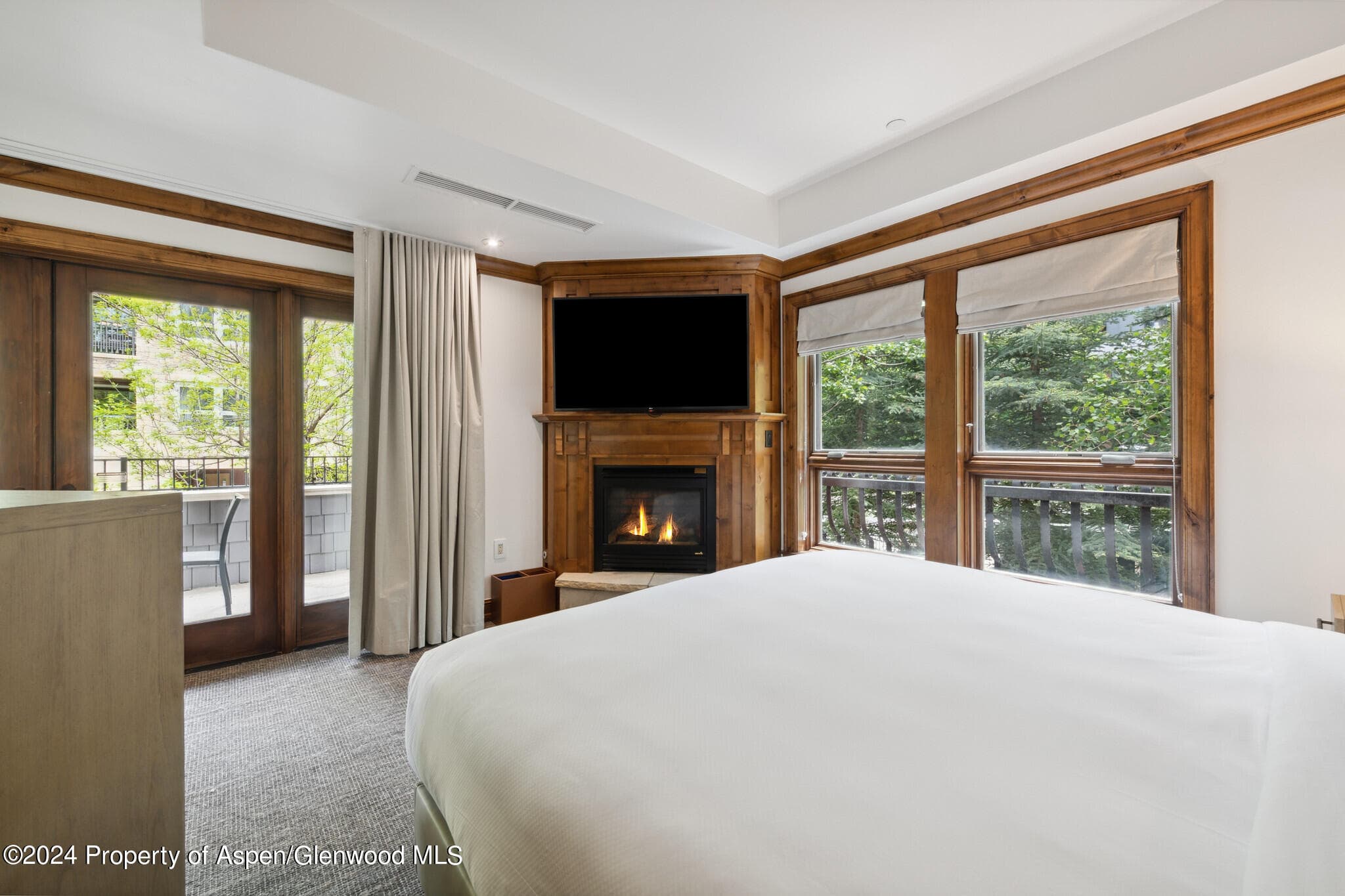 415 E Dean St, Unit 17, Weeks 32/33, Aspen, CO 81611 - Photo 18