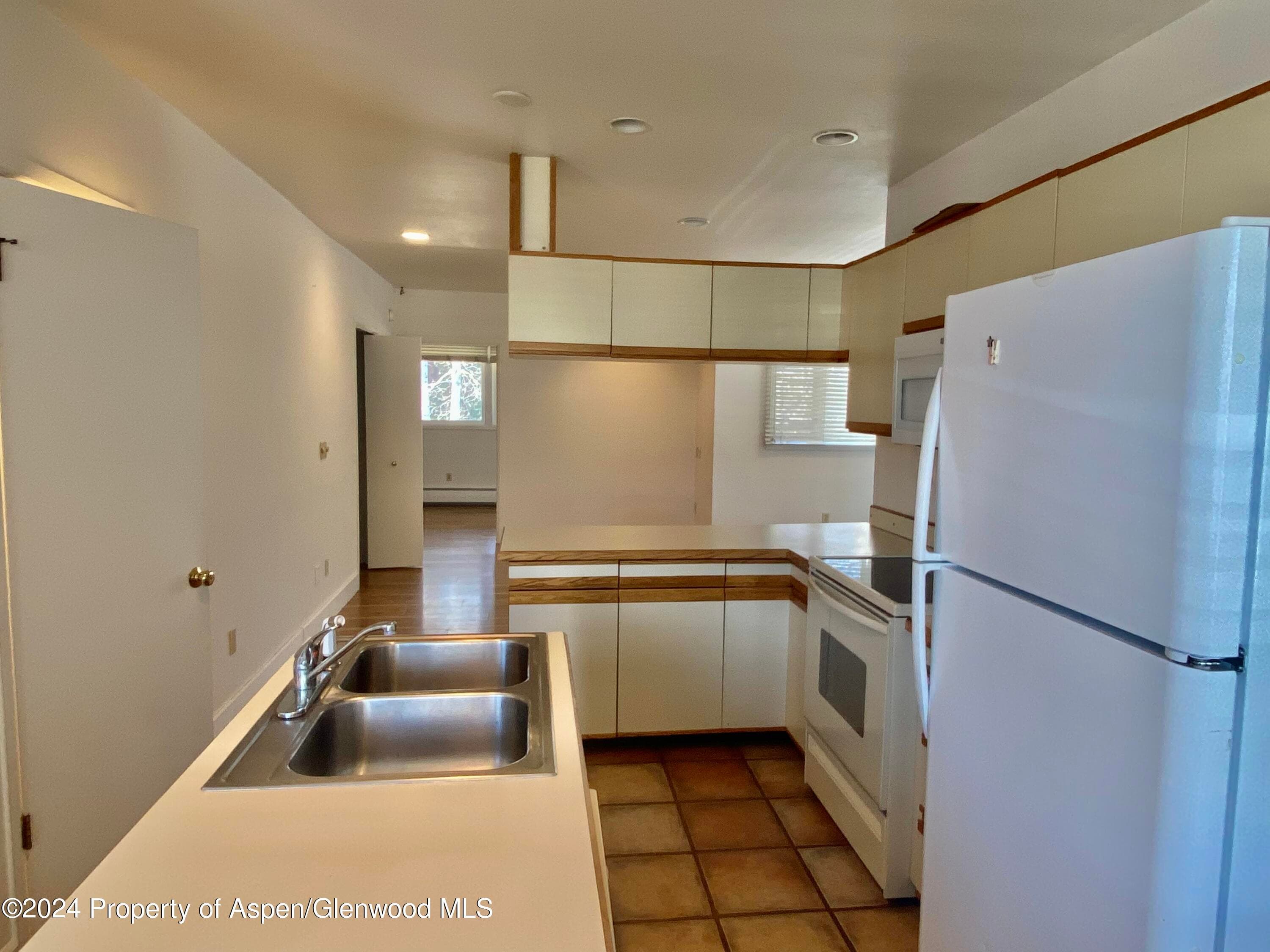 309 Pacific Ave / ABC Unit M, Aspen, CO 81611 - Photo 2