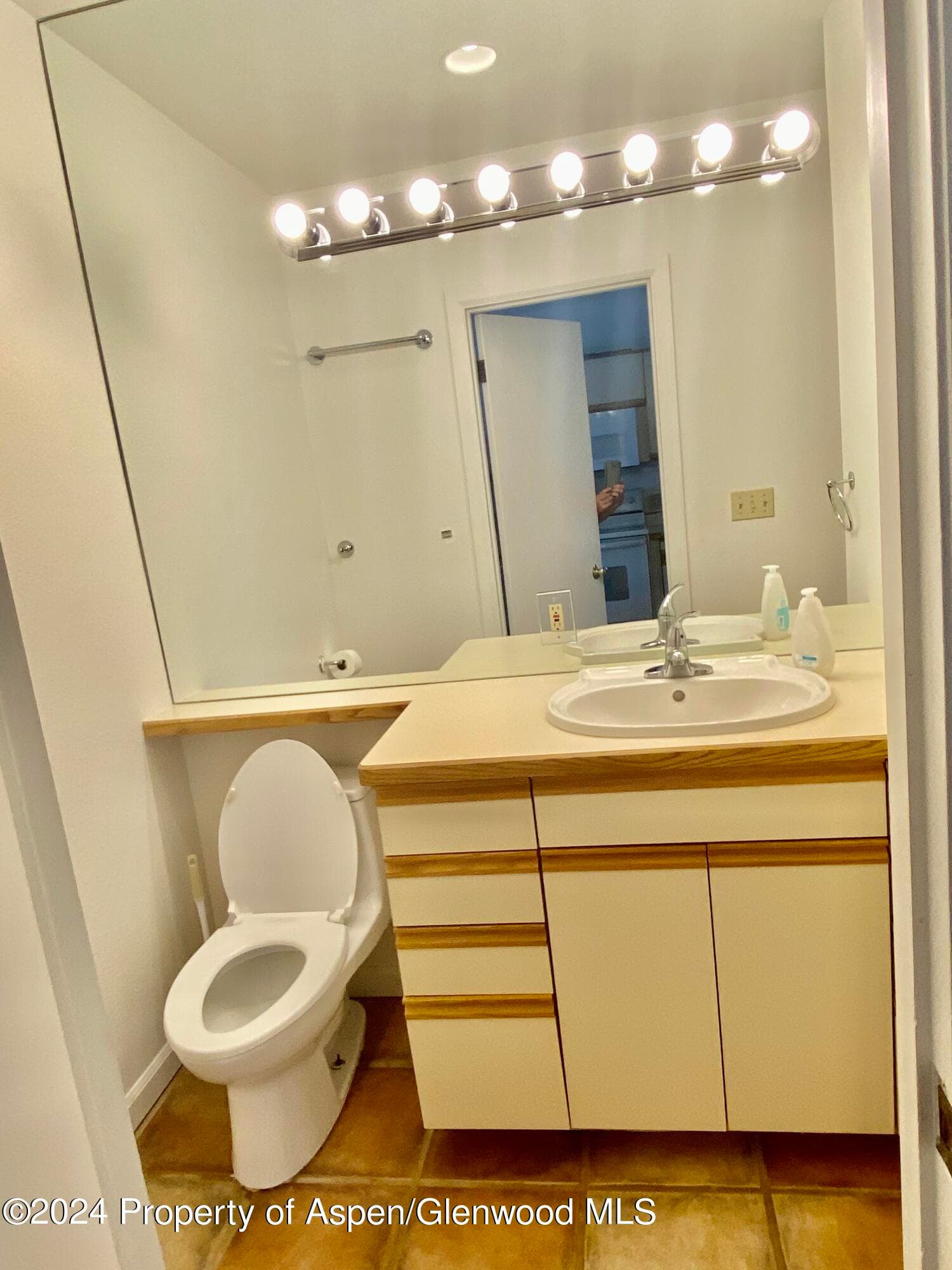 309 Pacific Ave / ABC Unit M, Aspen, CO 81611 - Photo 9