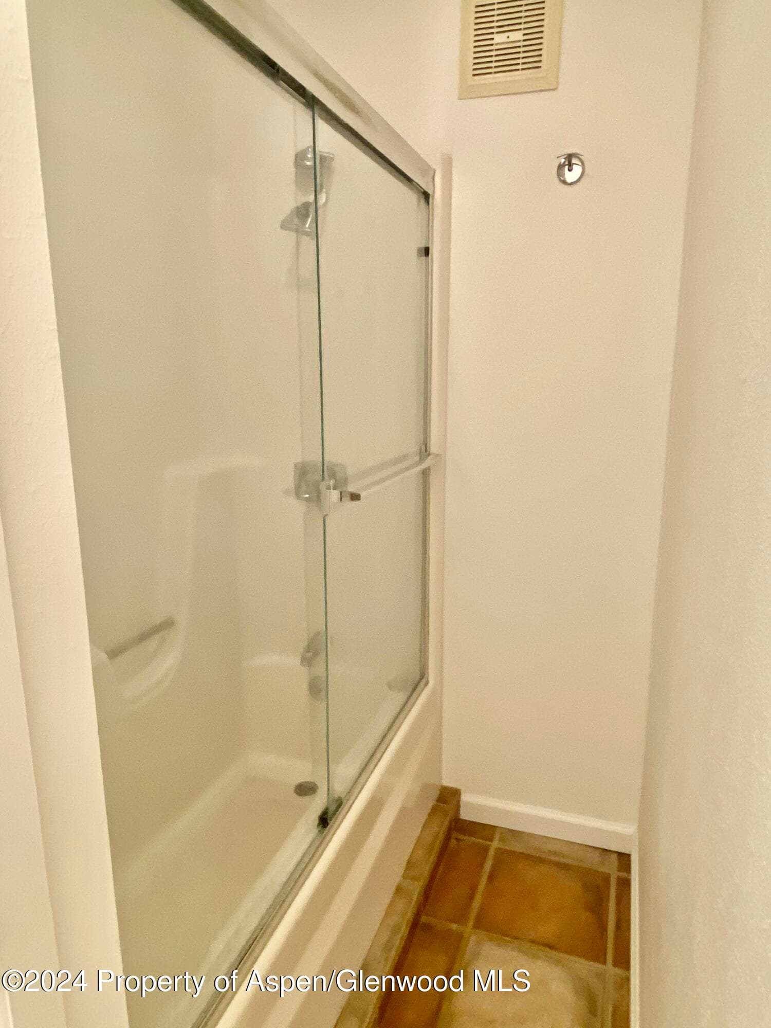 309 Pacific Ave / ABC Unit M, Aspen, CO 81611 - Photo 4