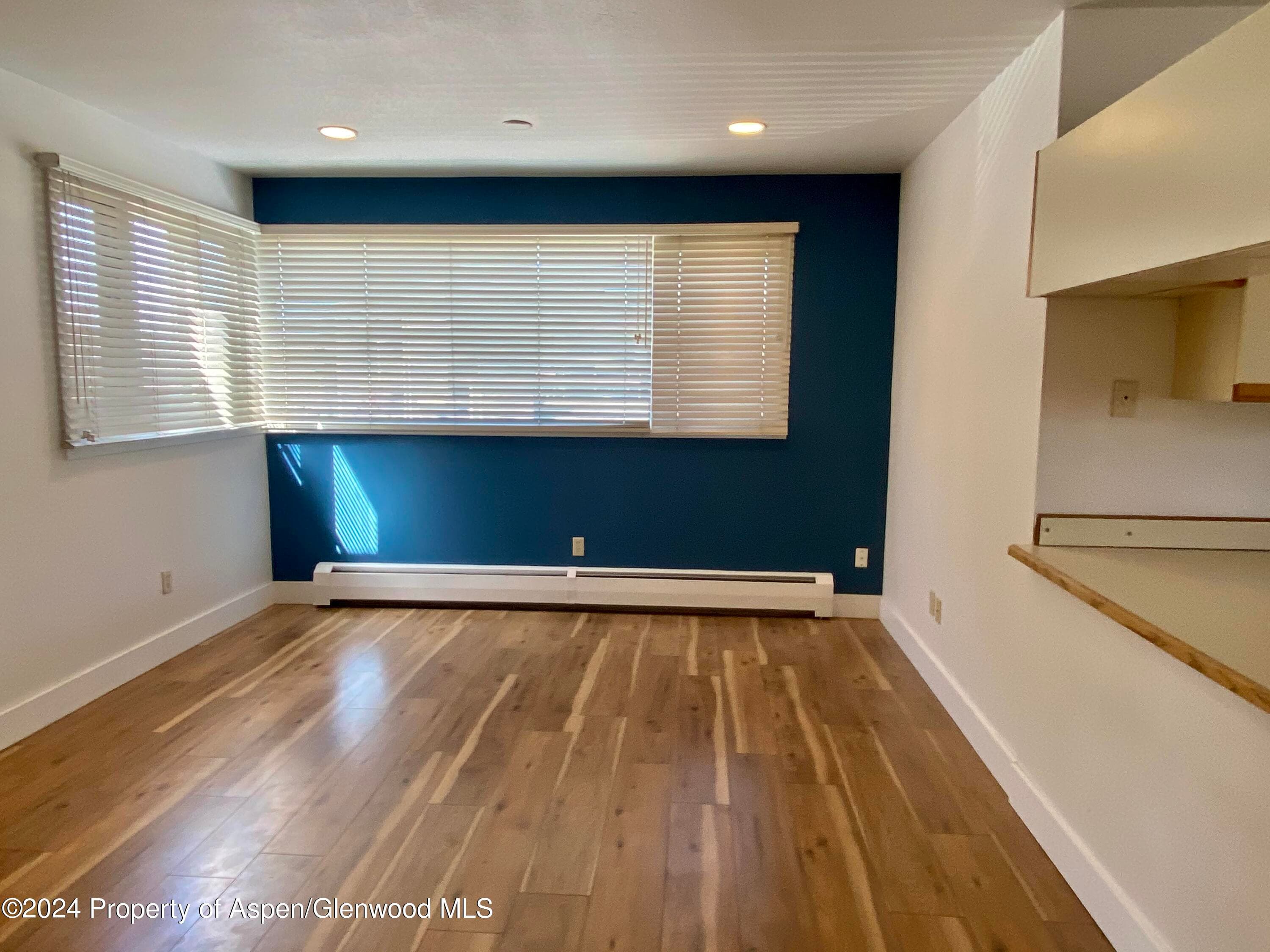 309 Pacific Ave / ABC Unit M, Aspen, CO 81611 - Photo 5