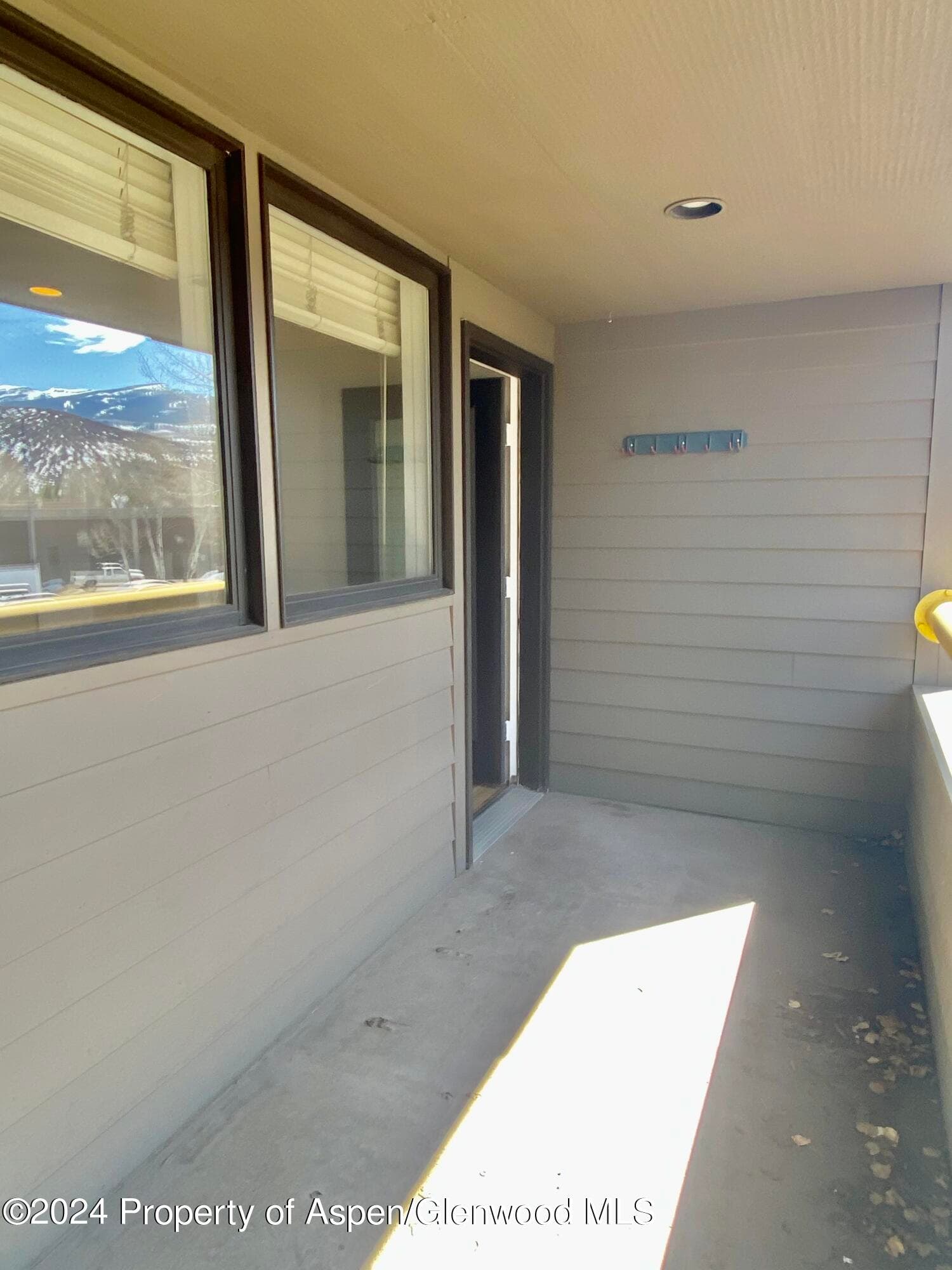 309 Pacific Ave / ABC Unit M, Aspen, CO 81611 - Photo 8