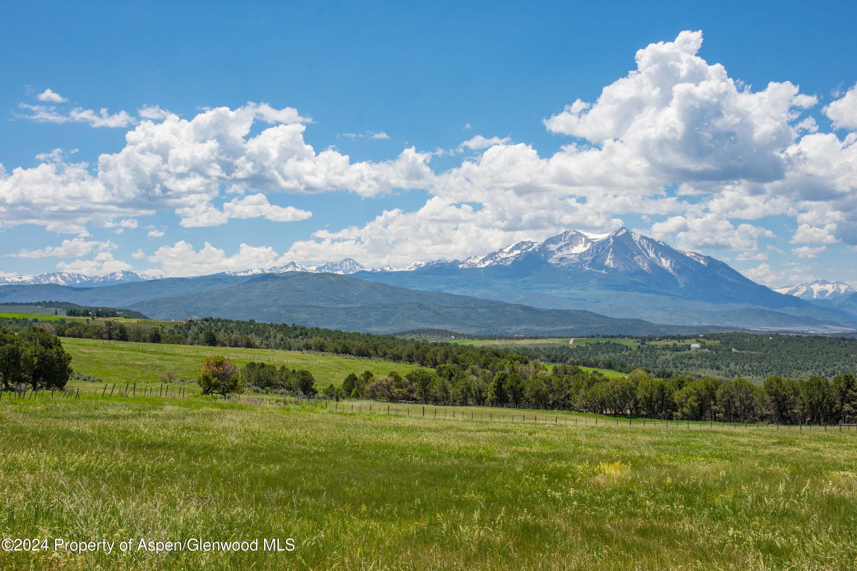 1900 Co Rd 103, Carbondale, CO 81623 - Photo 21