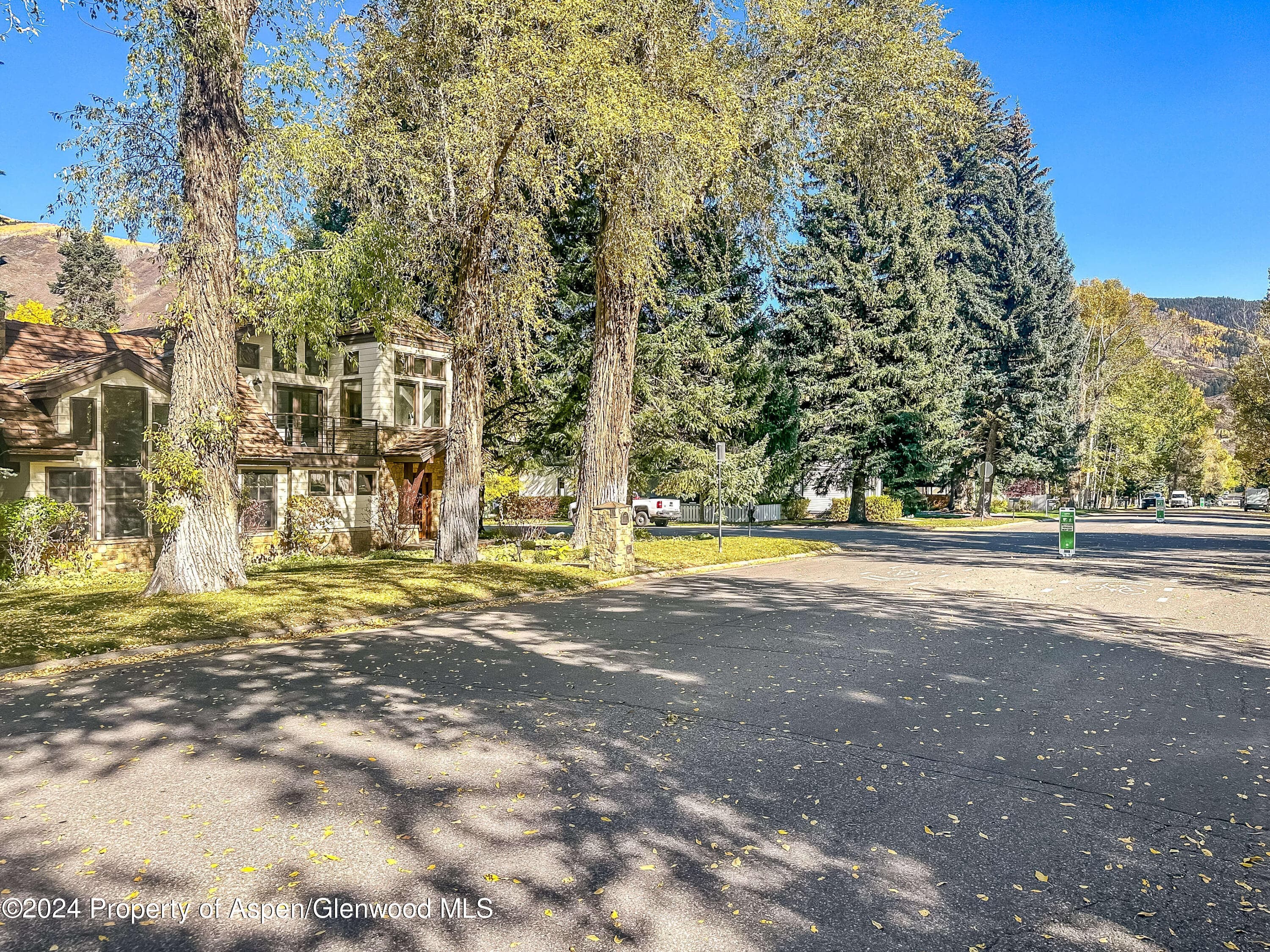 602 W Hallam Street, Aspen, CO 81611 - Photo 39