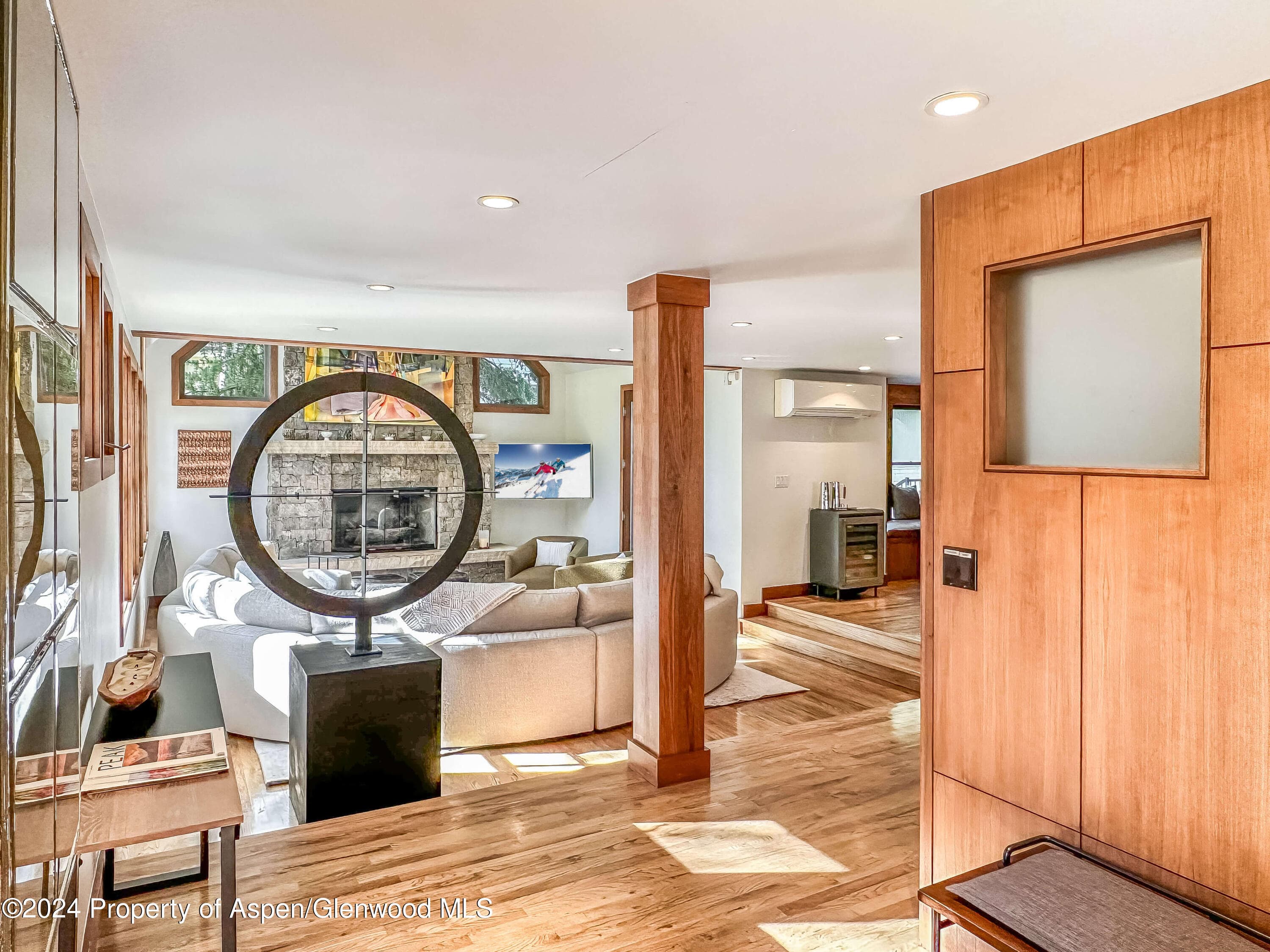 602 W Hallam Street, Aspen, CO 81611 - Photo 5
