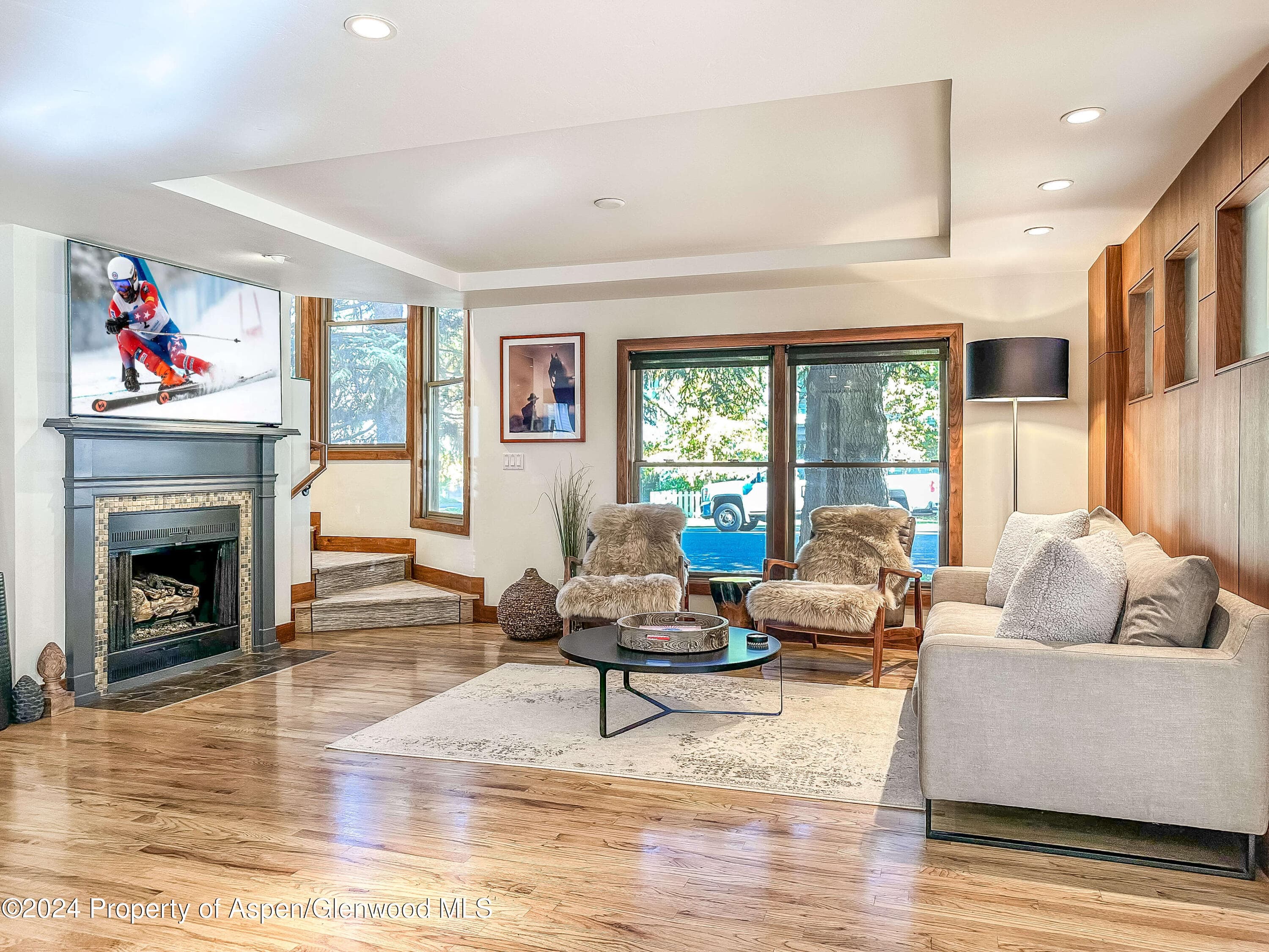 602 W Hallam Street, Aspen, CO 81611 - Photo 9