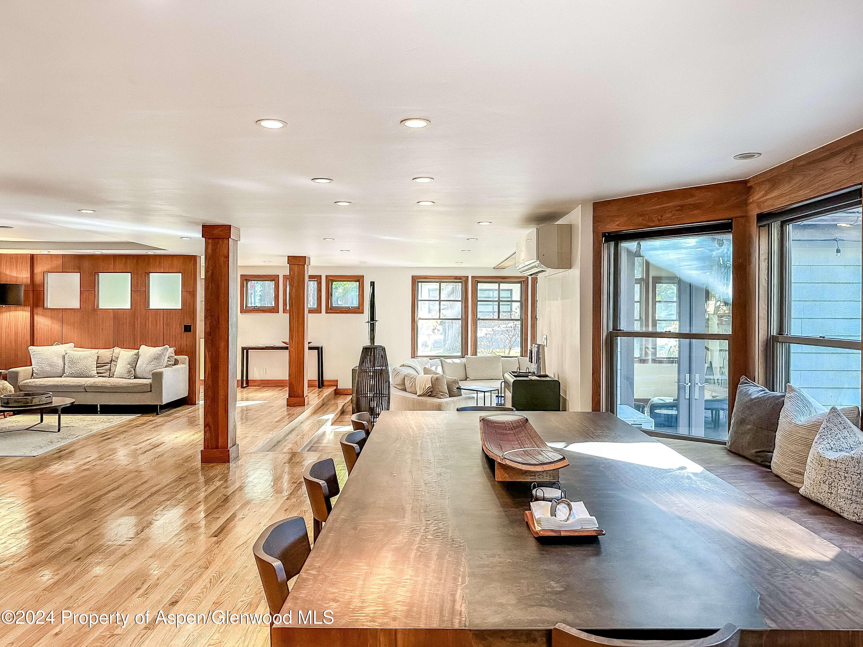 602 W Hallam Street, Aspen, CO 81611 - Photo 8