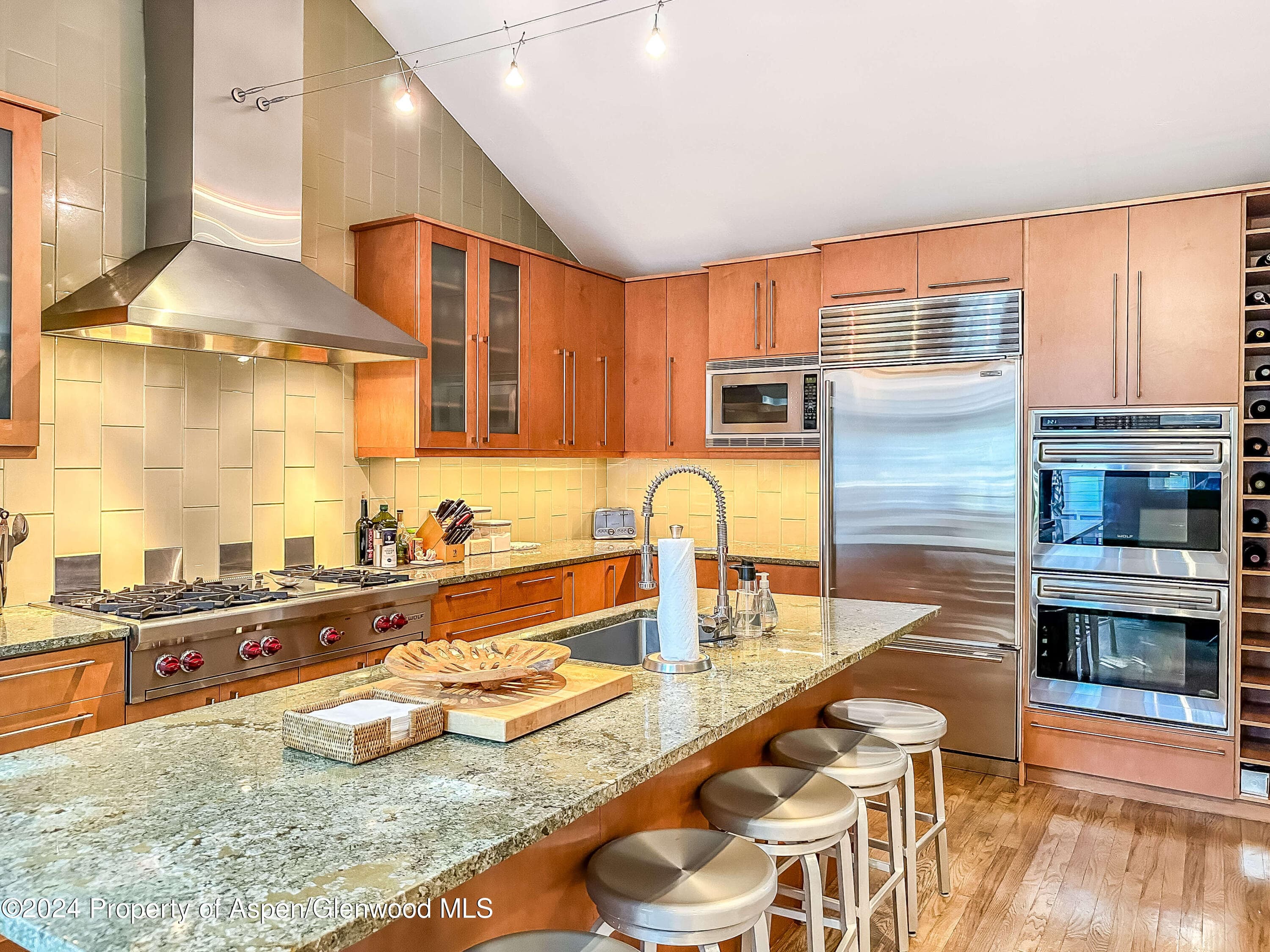 602 W Hallam Street, Aspen, CO 81611 - Photo 10