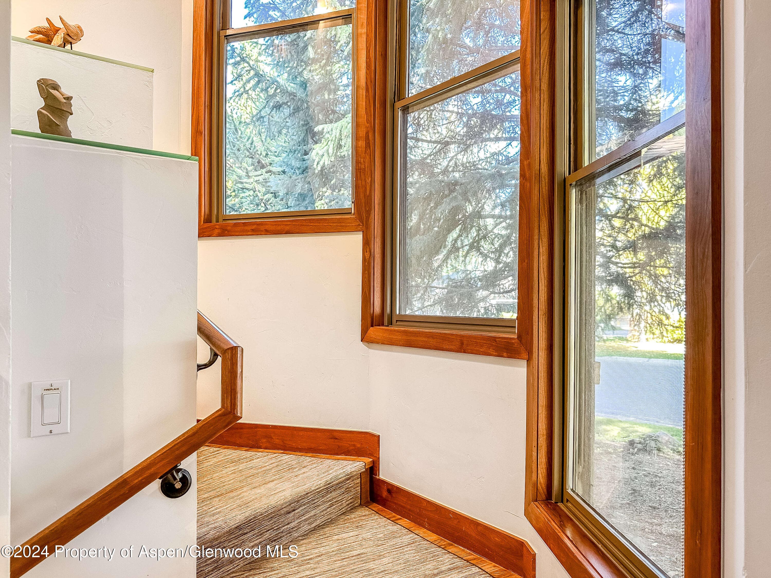 602 W Hallam Street, Aspen, CO 81611 - Photo 15