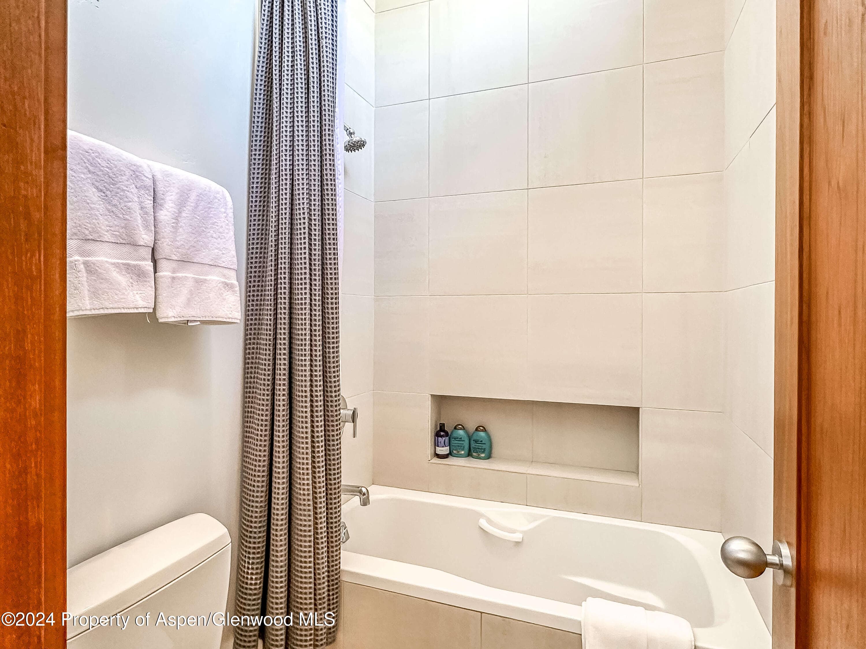 602 W Hallam Street, Aspen, CO 81611 - Photo 27