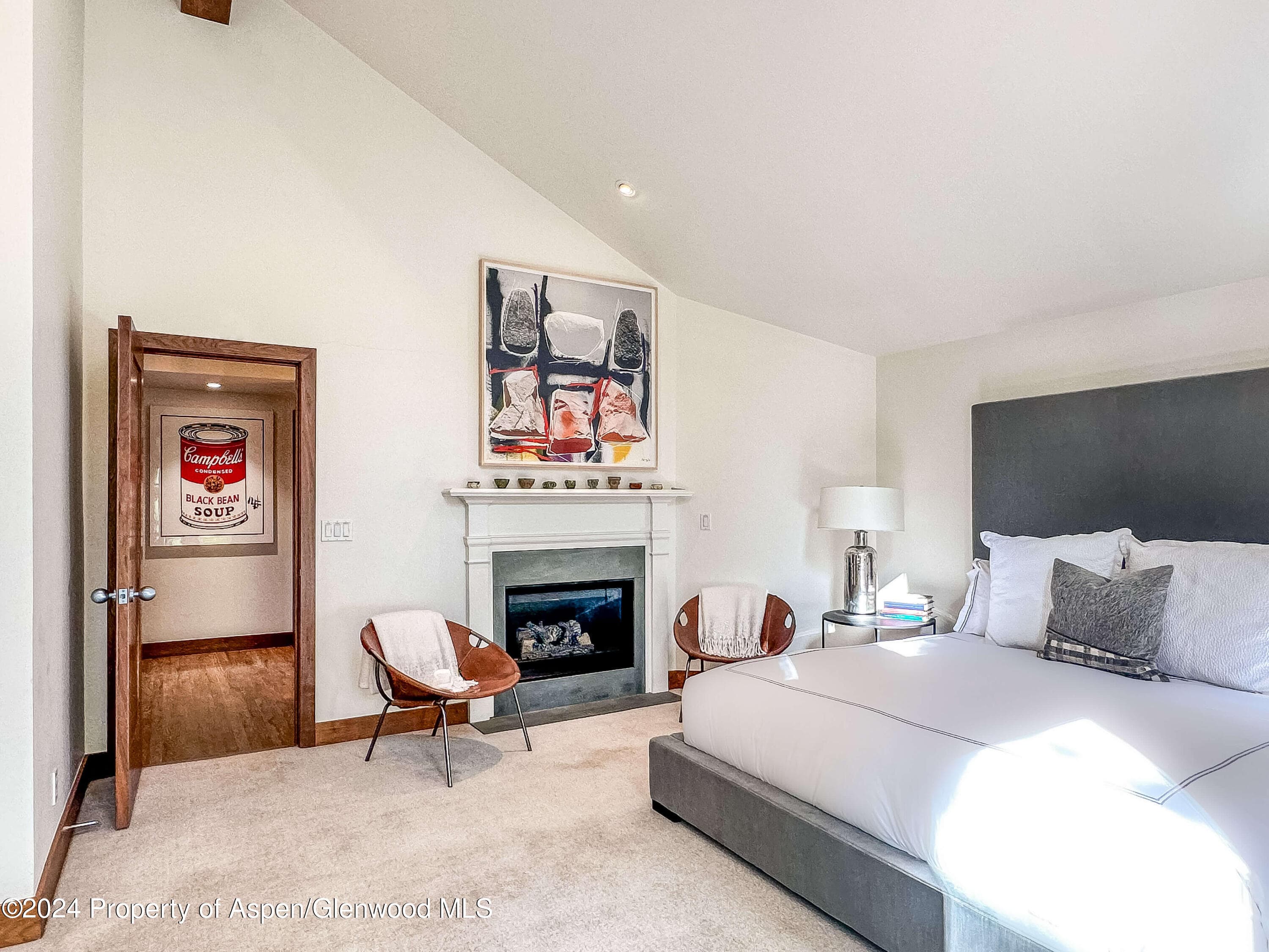 602 W Hallam Street, Aspen, CO 81611 - Photo 21