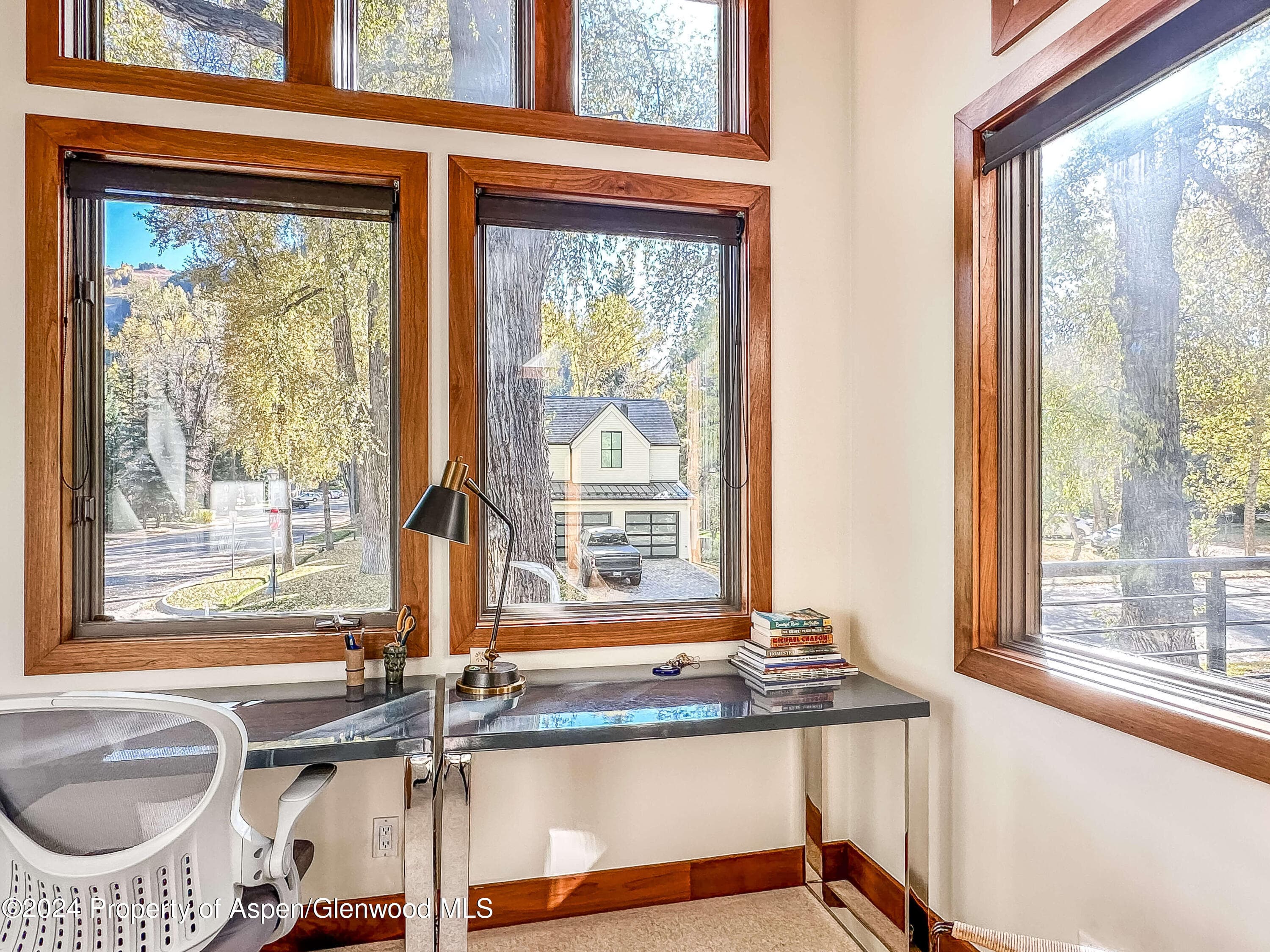 602 W Hallam Street, Aspen, CO 81611 - Photo 17