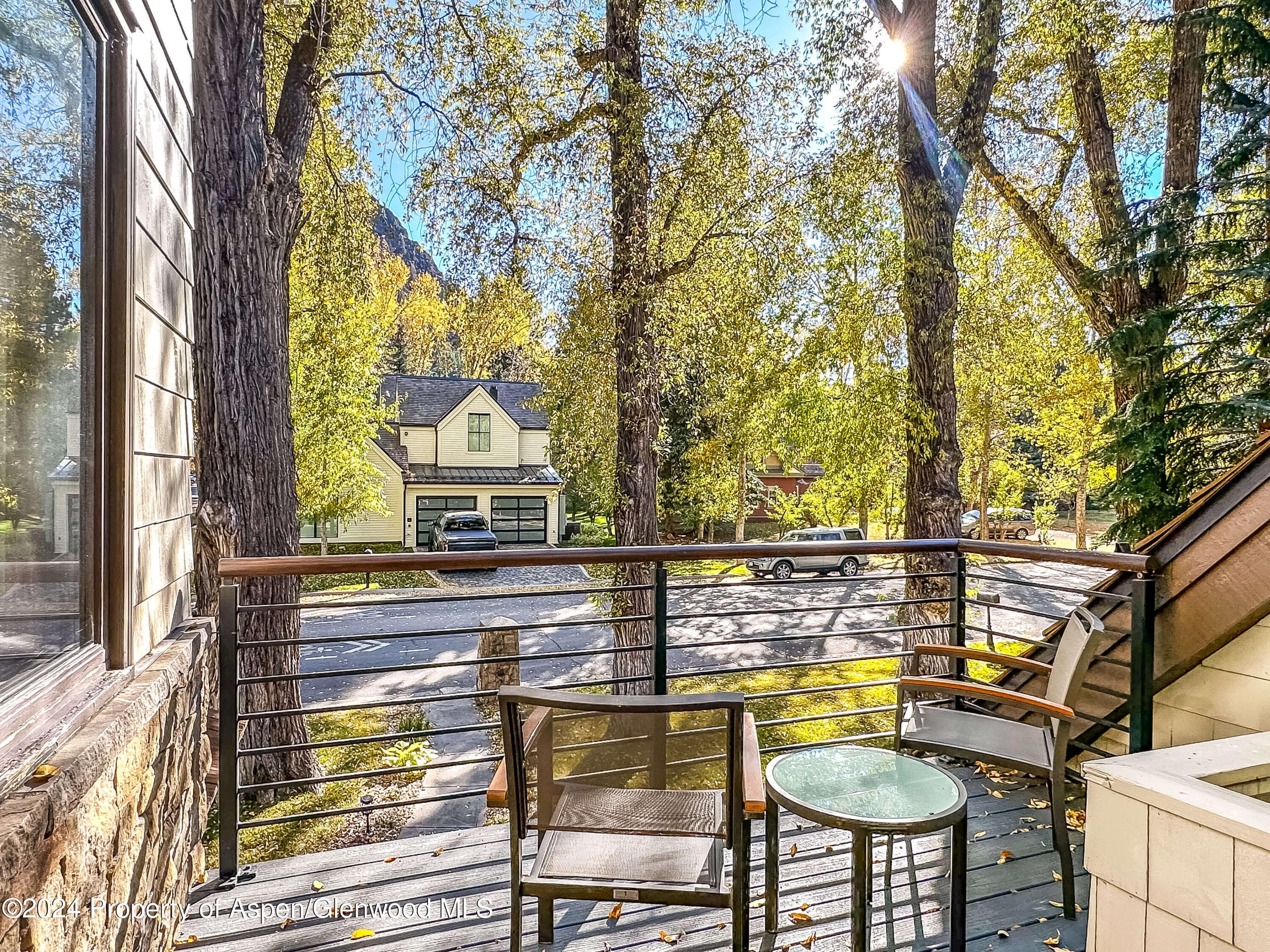 602 W Hallam Street, Aspen, CO 81611 - Photo 20