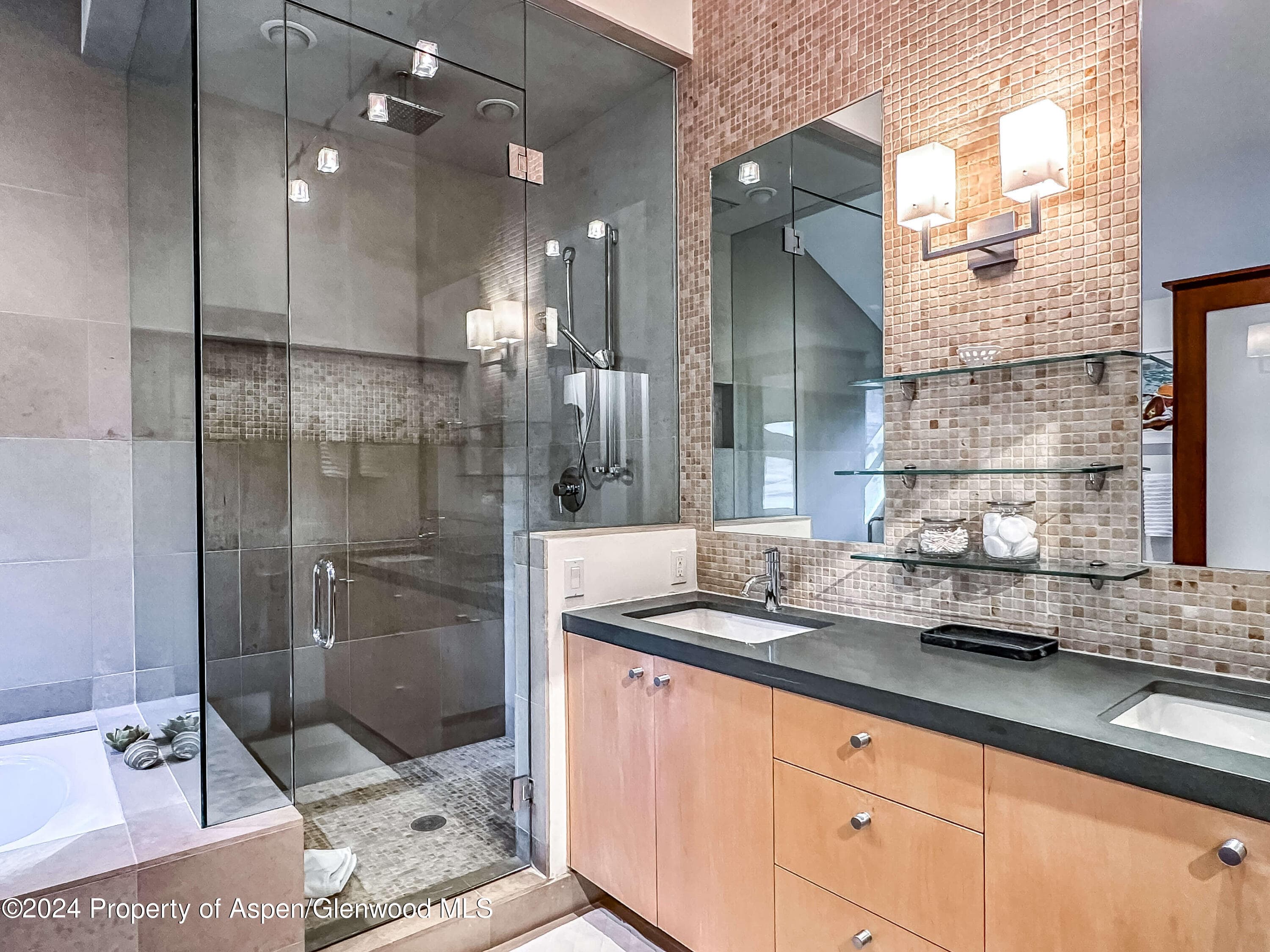 602 W Hallam Street, Aspen, CO 81611 - Photo 18
