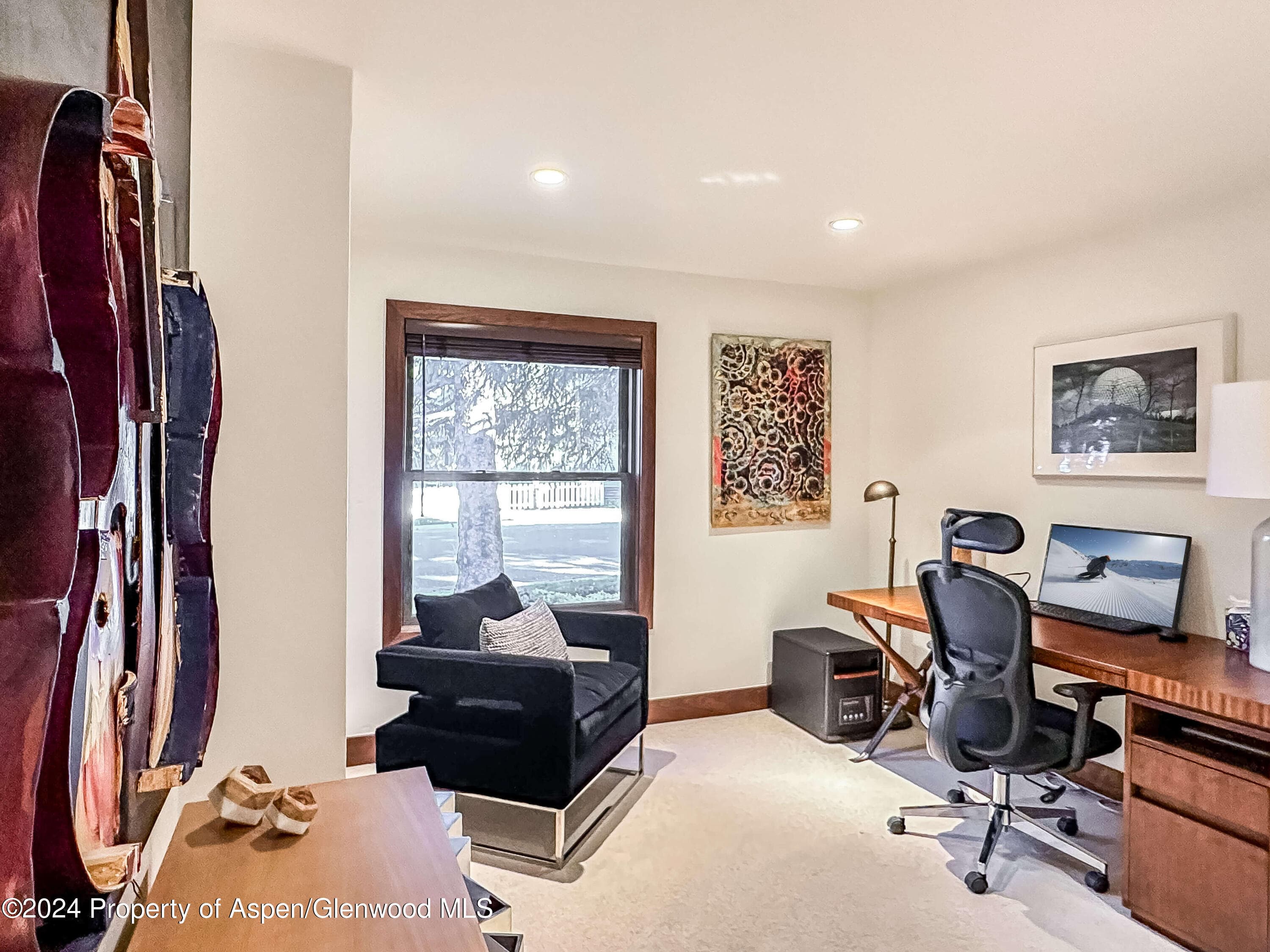 602 W Hallam Street, Aspen, CO 81611 - Photo 28