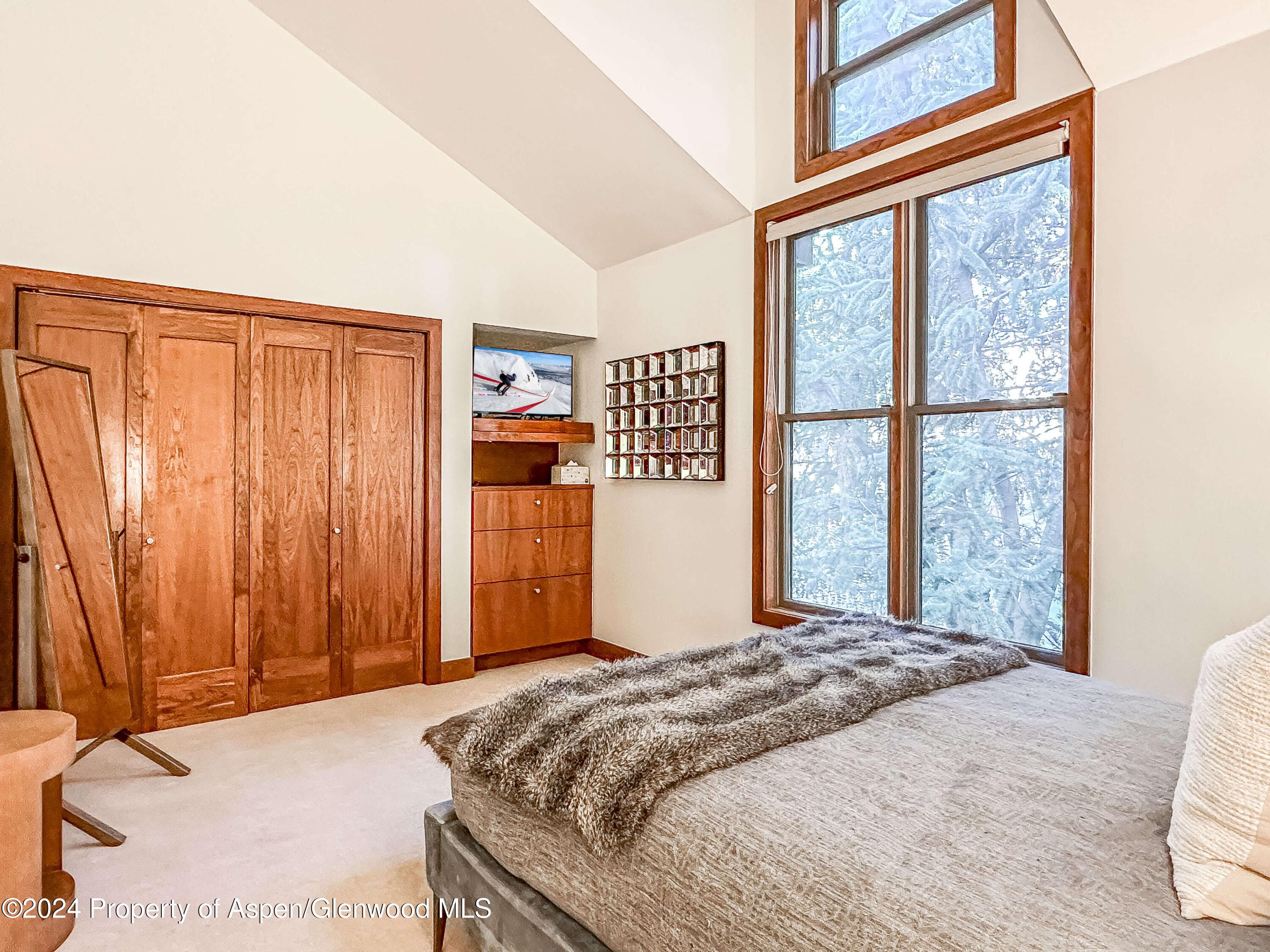 602 W Hallam Street, Aspen, CO 81611 - Photo 31