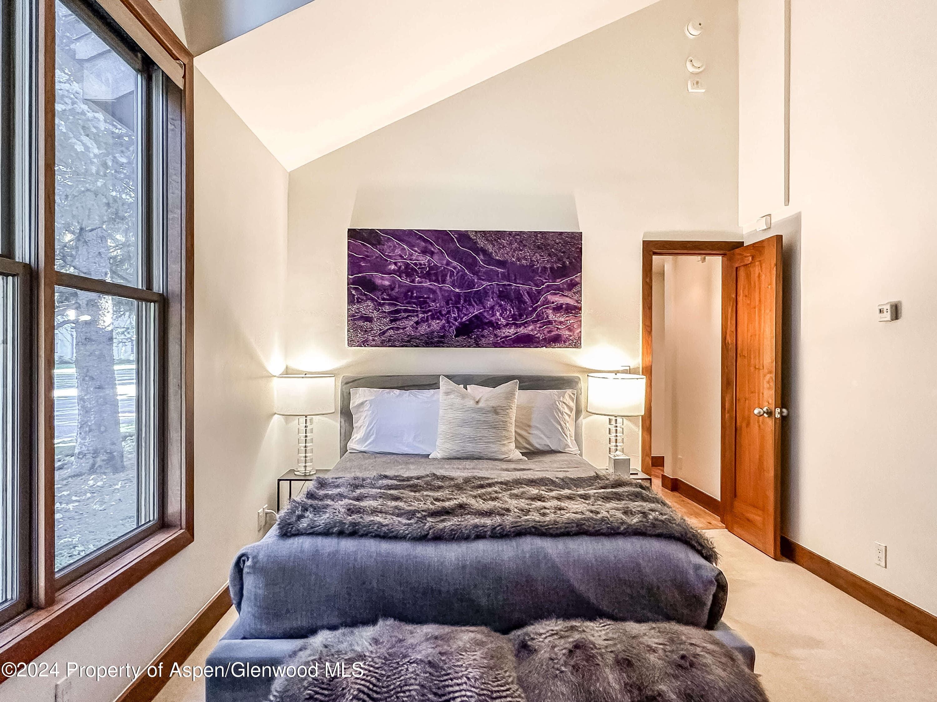 602 W Hallam Street, Aspen, CO 81611 - Photo 30
