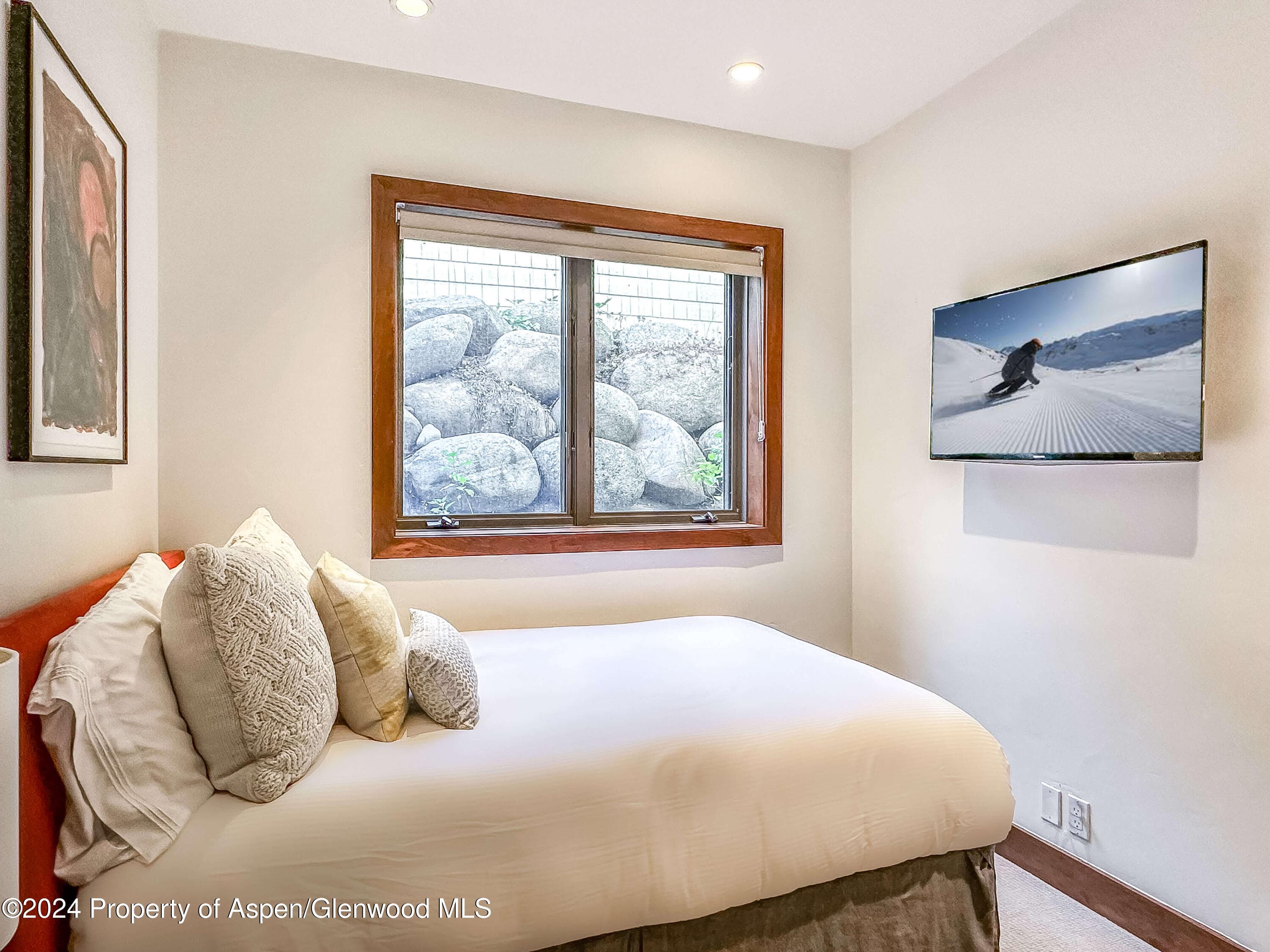 602 W Hallam Street, Aspen, CO 81611 - Photo 36