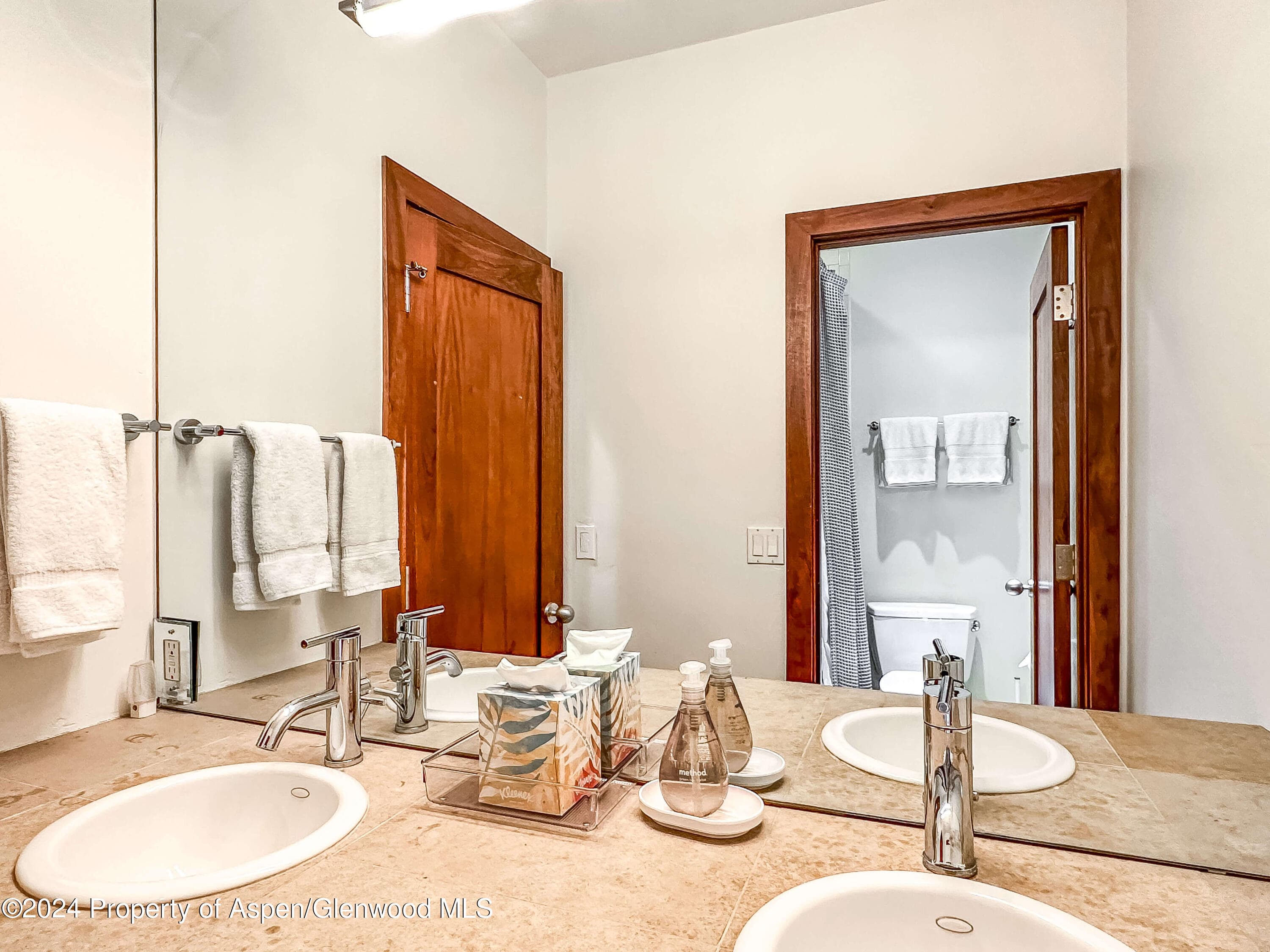 602 W Hallam Street, Aspen, CO 81611 - Photo 34