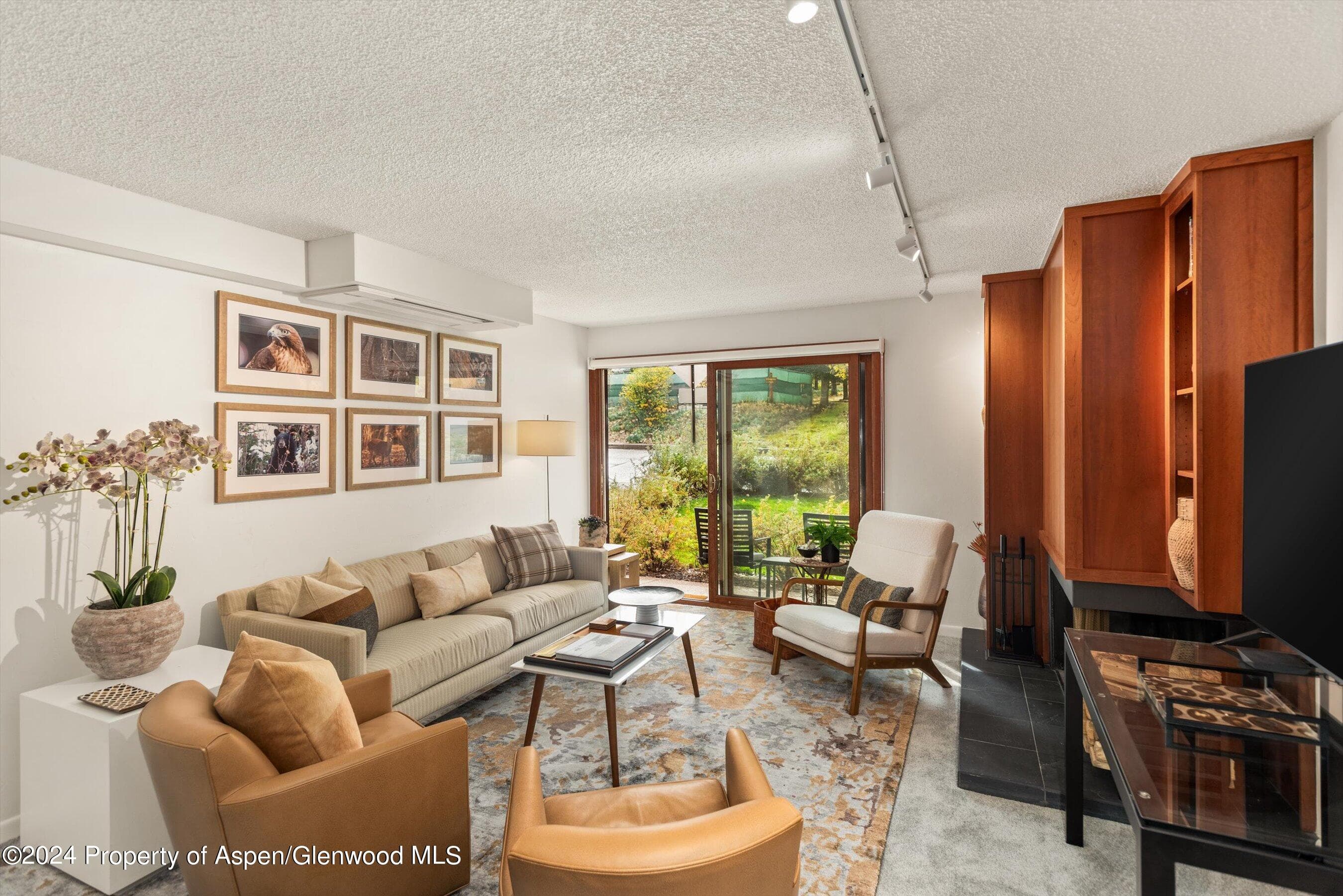 205 E Durant Avenue 1C, Aspen, CO 81611