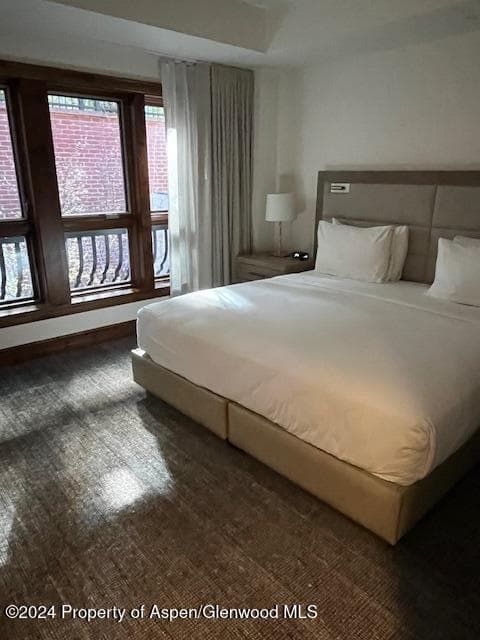 415 E Dean Street 42 ABC. Wk 51/52, Aspen, CO 81611 - Photo 21