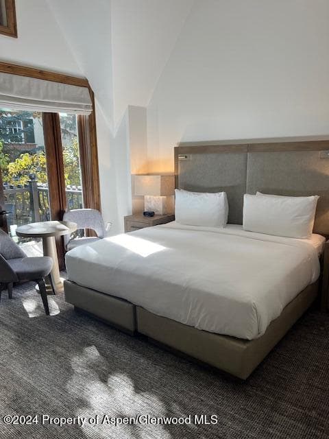 415 E Dean Street 42 ABC. Wk 51/52, Aspen, CO 81611 - Photo 16