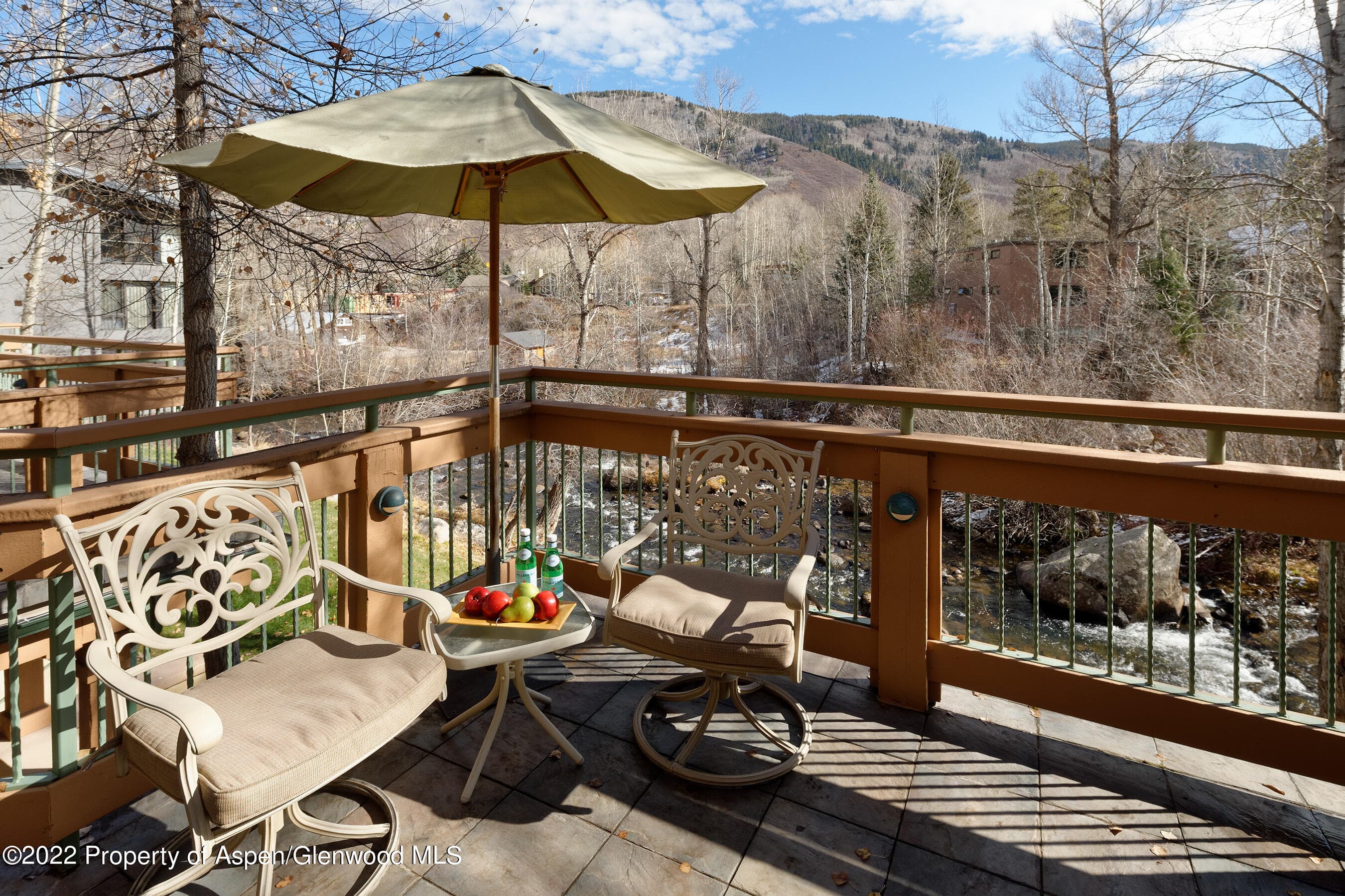 1035 E Durant Avenue #4, Aspen, CO 81611 - Photo 4