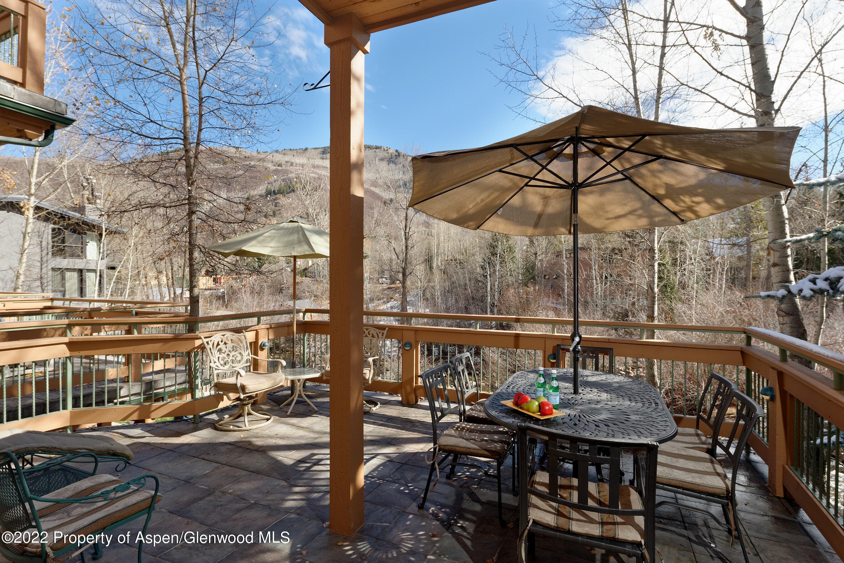 1035 E Durant Avenue #4, Aspen, CO 81611 - Photo 5
