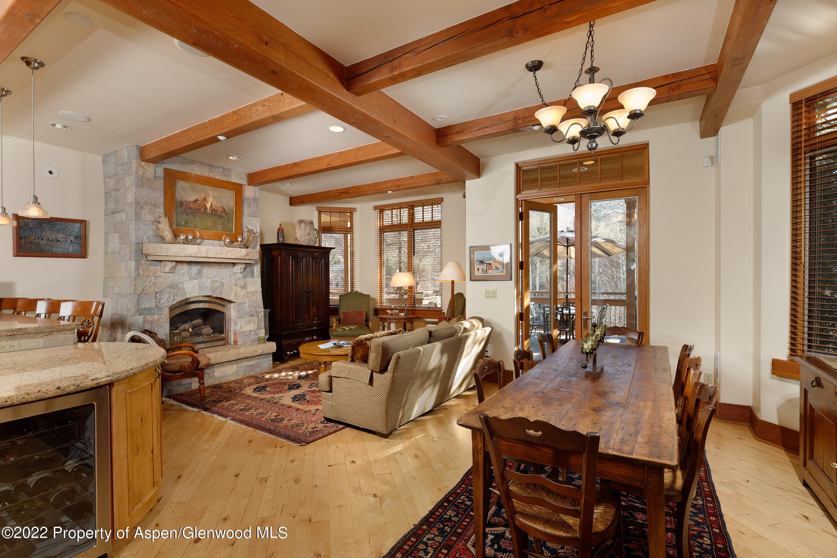 1035 E Durant Avenue #4, Aspen, CO 81611 - Photo 7