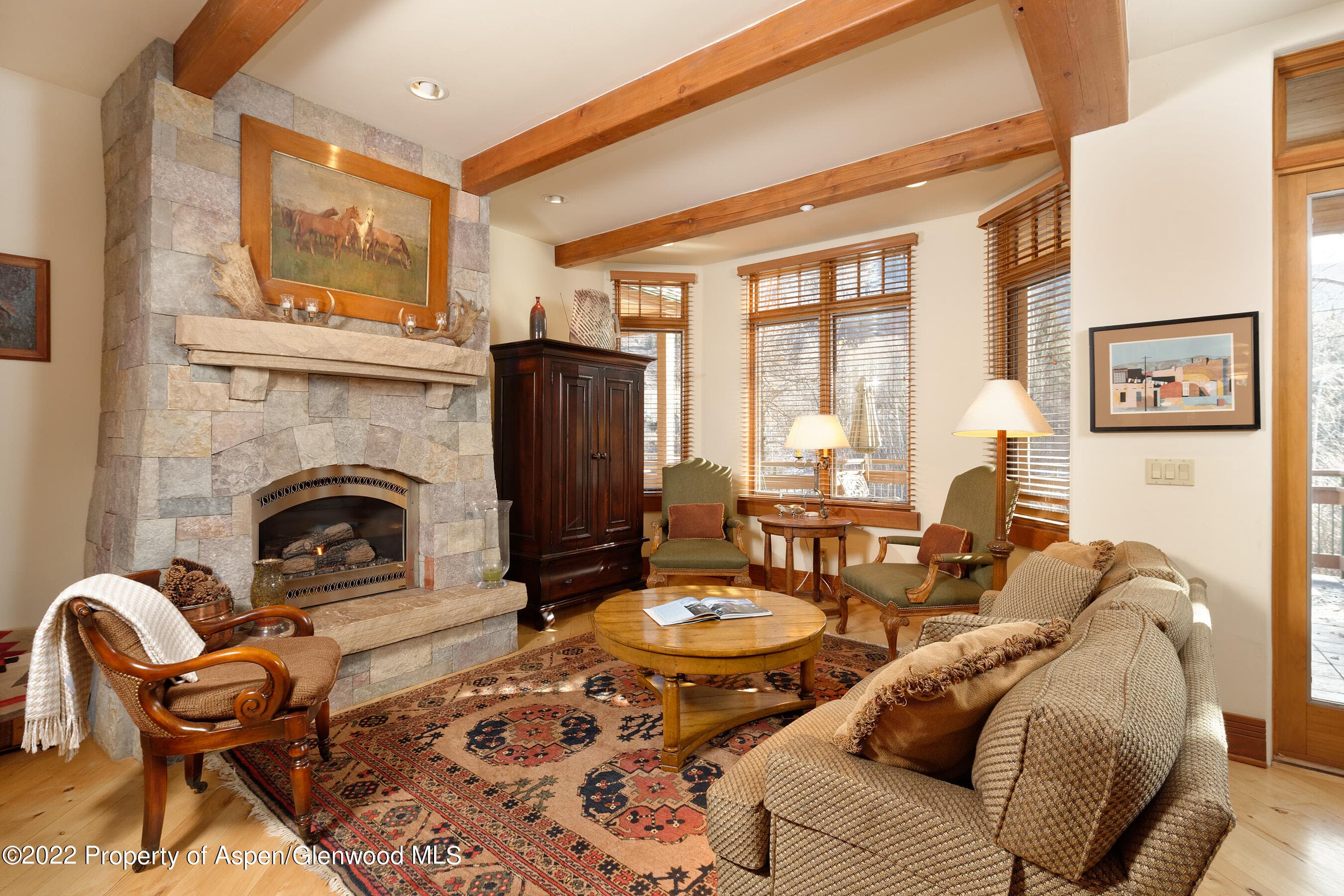 1035 E Durant Avenue #4, Aspen, CO 81611 - Photo 8