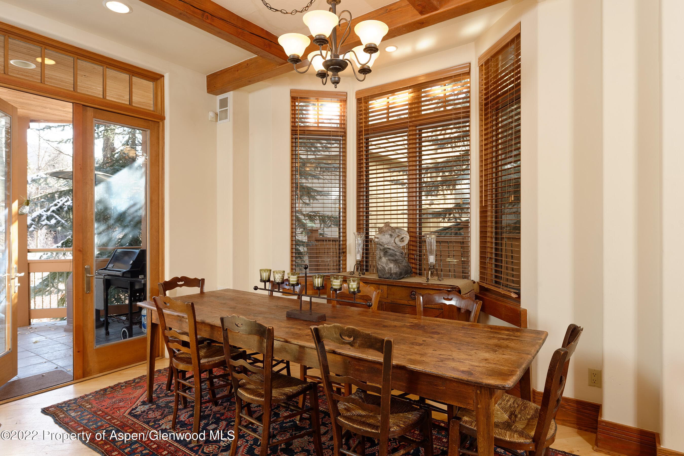 1035 E Durant Avenue #4, Aspen, CO 81611 - Photo 10