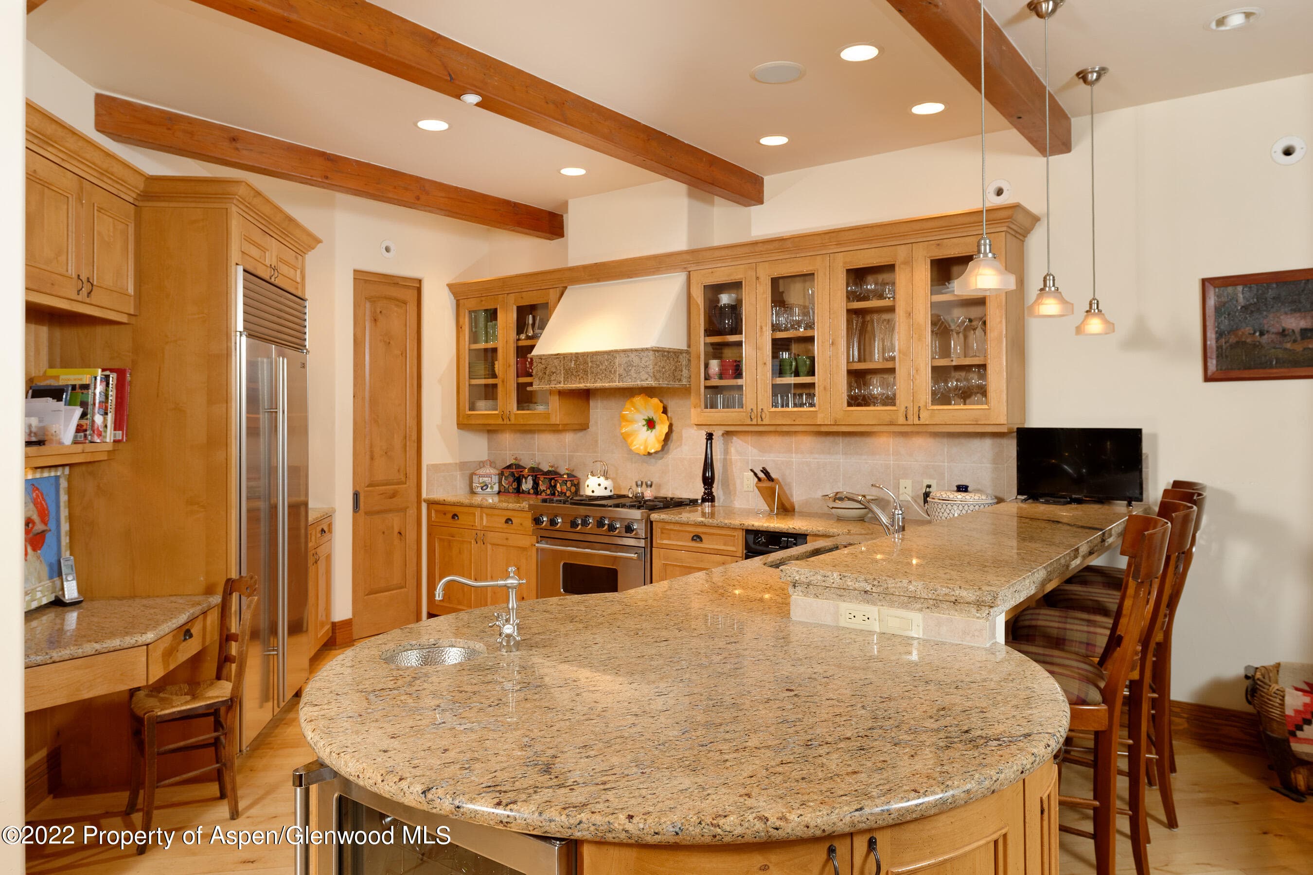 1035 E Durant Avenue #4, Aspen, CO 81611 - Photo 11