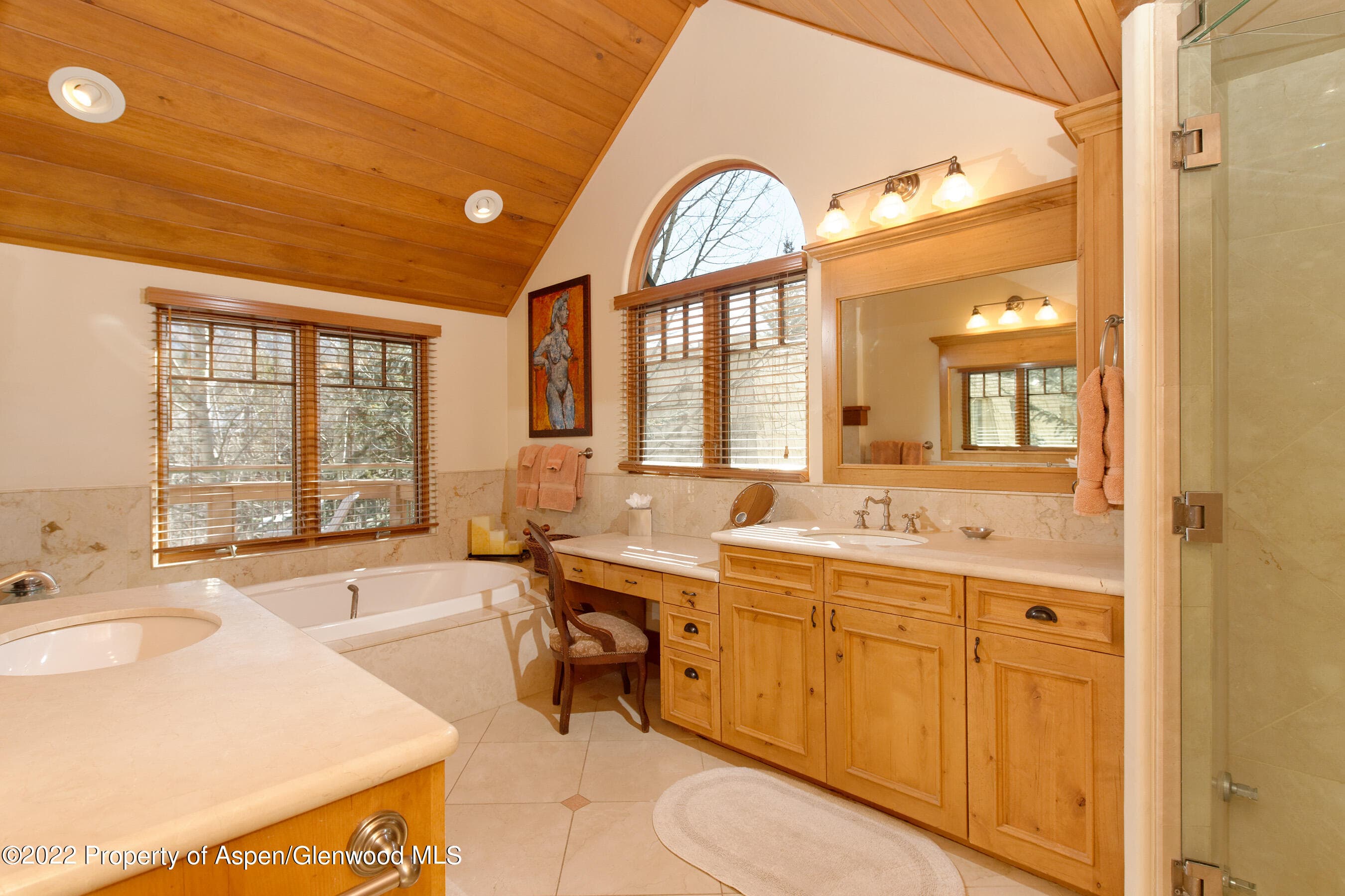1035 E Durant Avenue #4, Aspen, CO 81611 - Photo 13