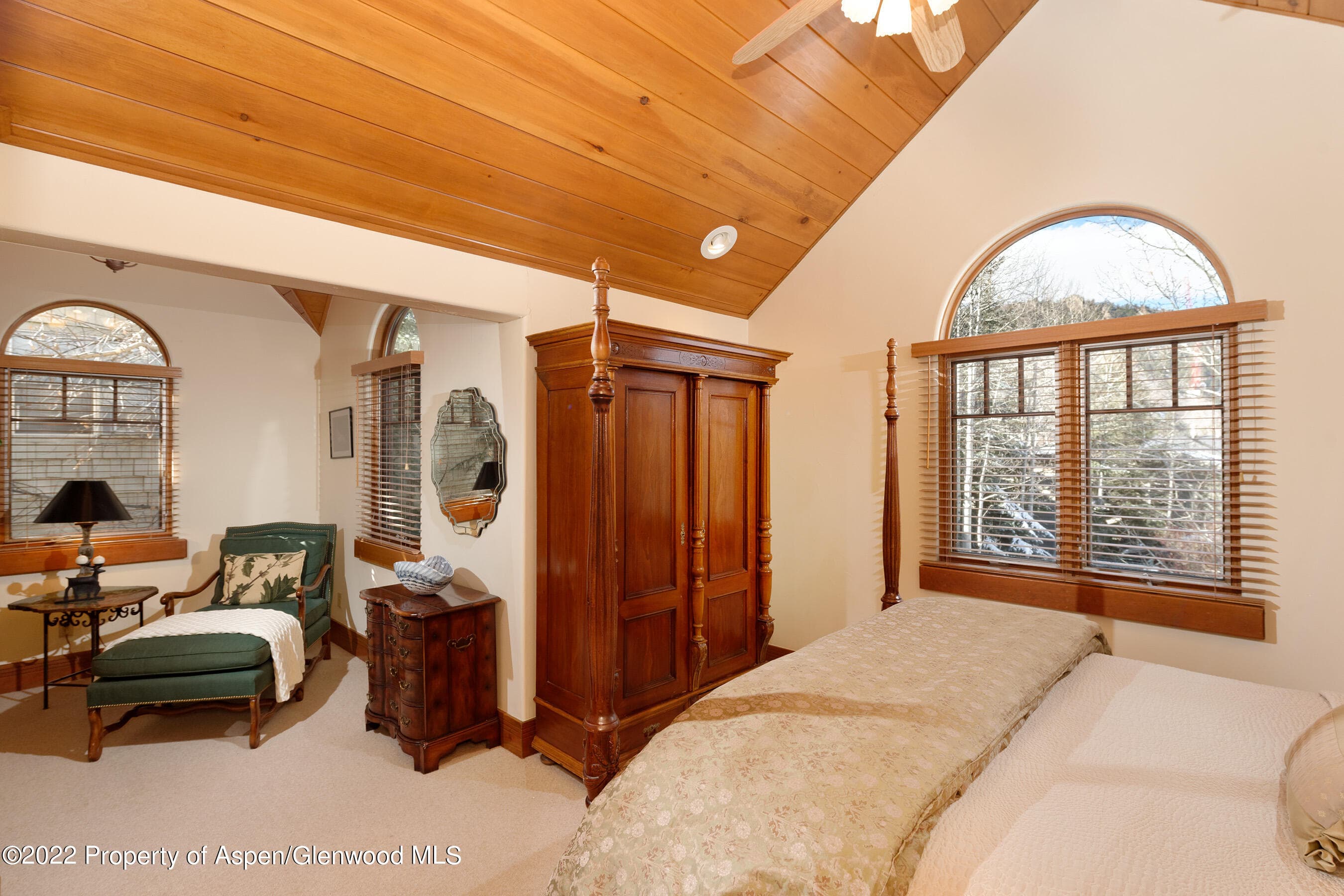 1035 E Durant Avenue #4, Aspen, CO 81611 - Photo 14