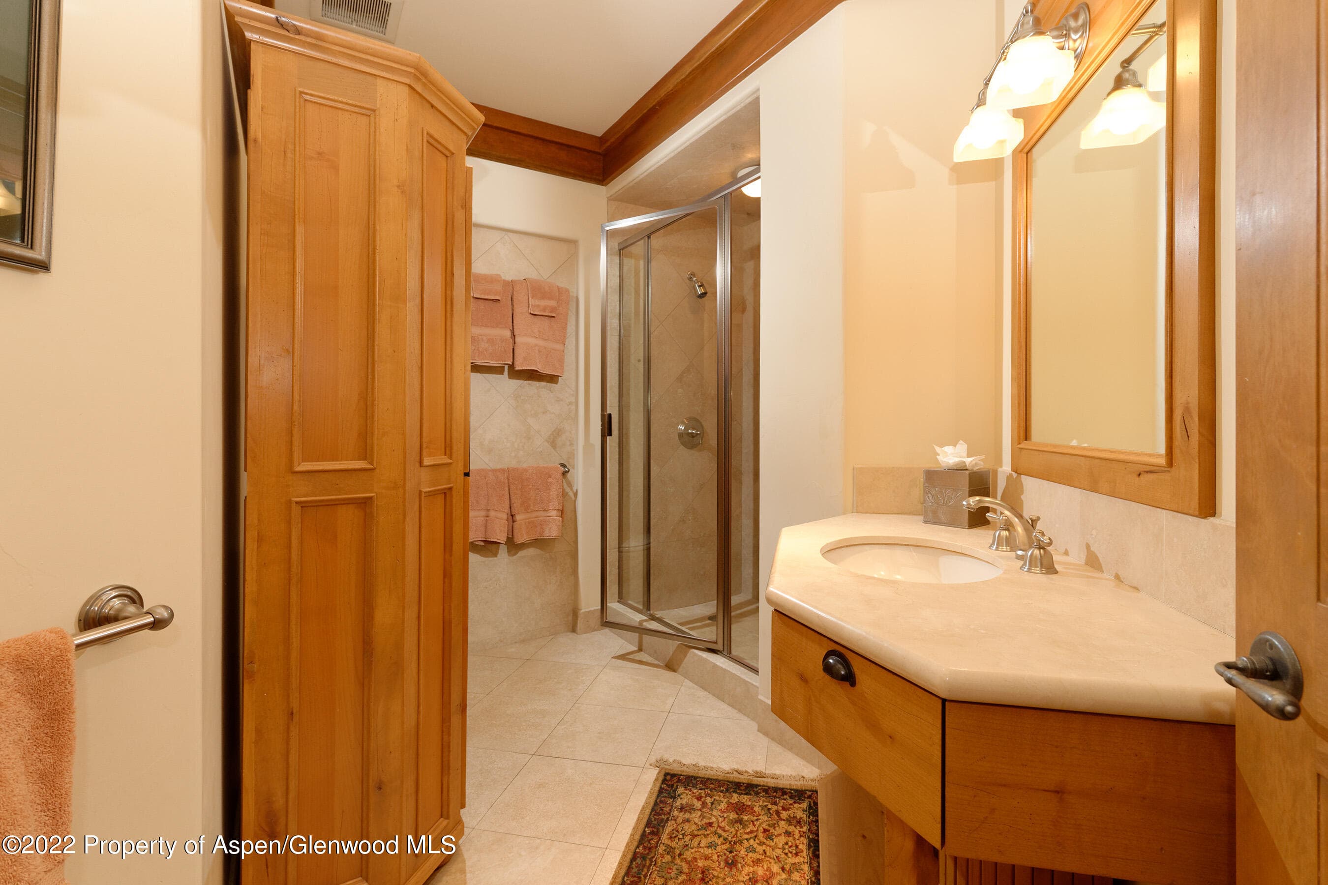 1035 E Durant Avenue #4, Aspen, CO 81611 - Photo 21