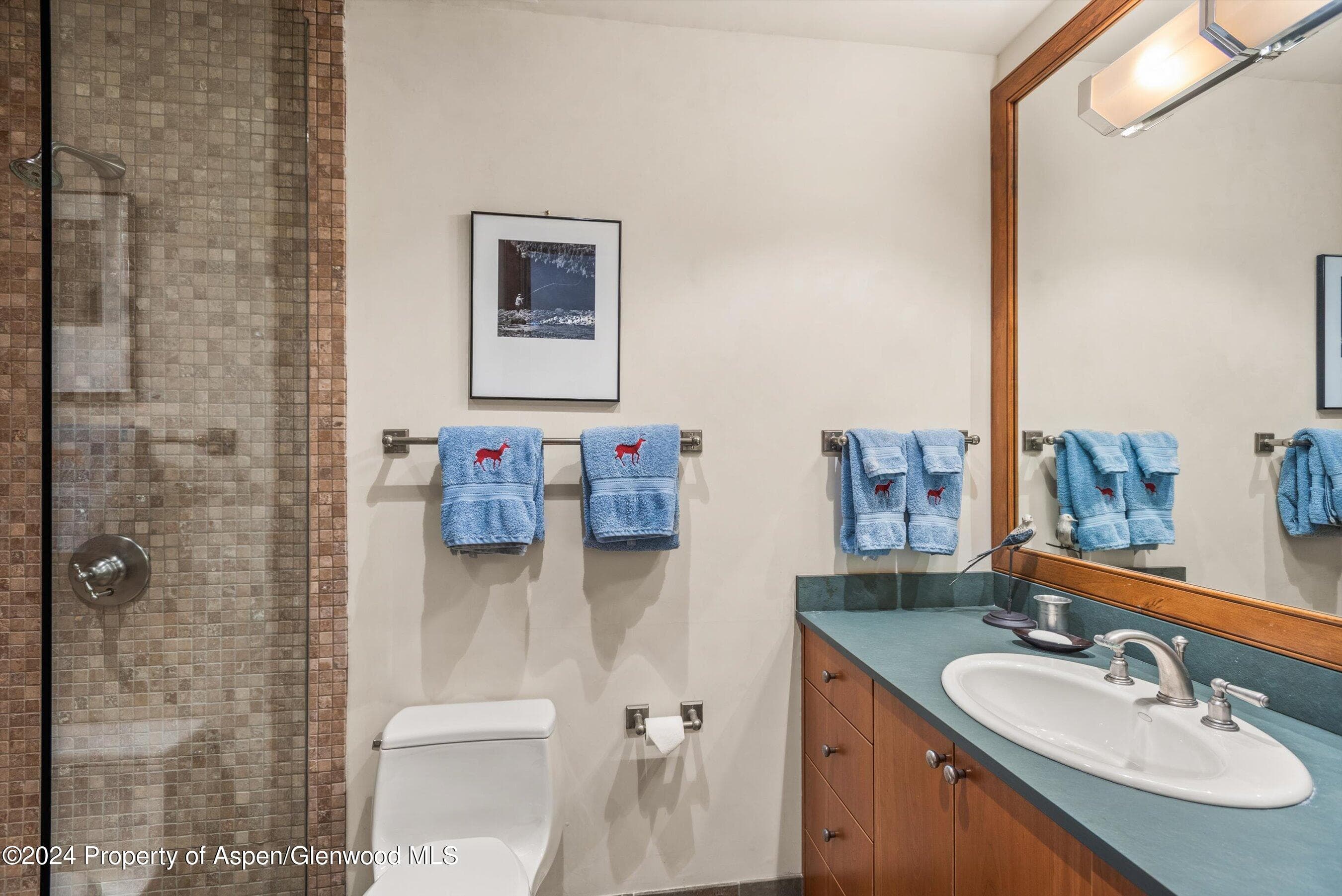 1016 E HOPKINS Avenue, Aspen, CO 81611 - Photo 34