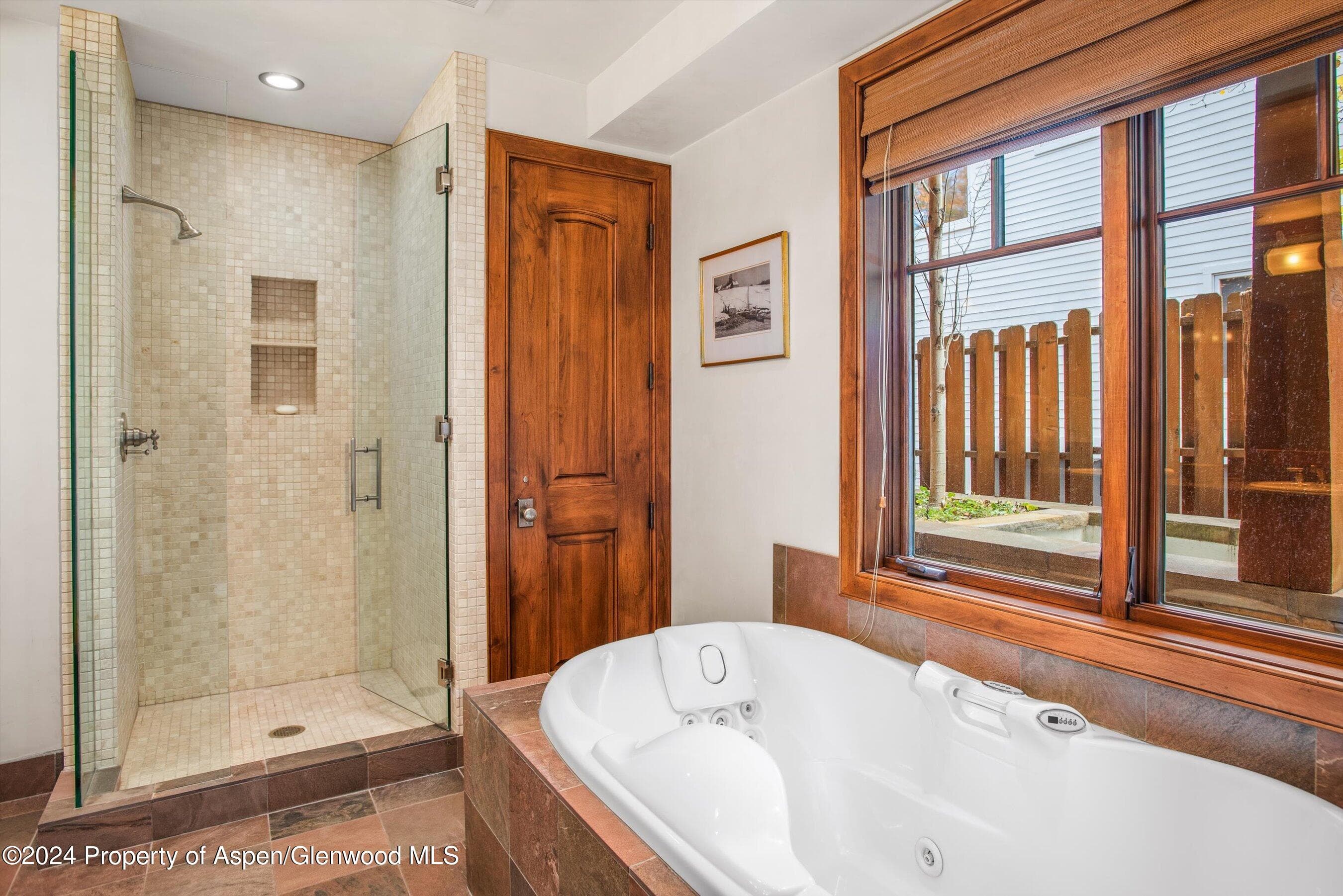 1016 E HOPKINS Avenue, Aspen, CO 81611 - Photo 16