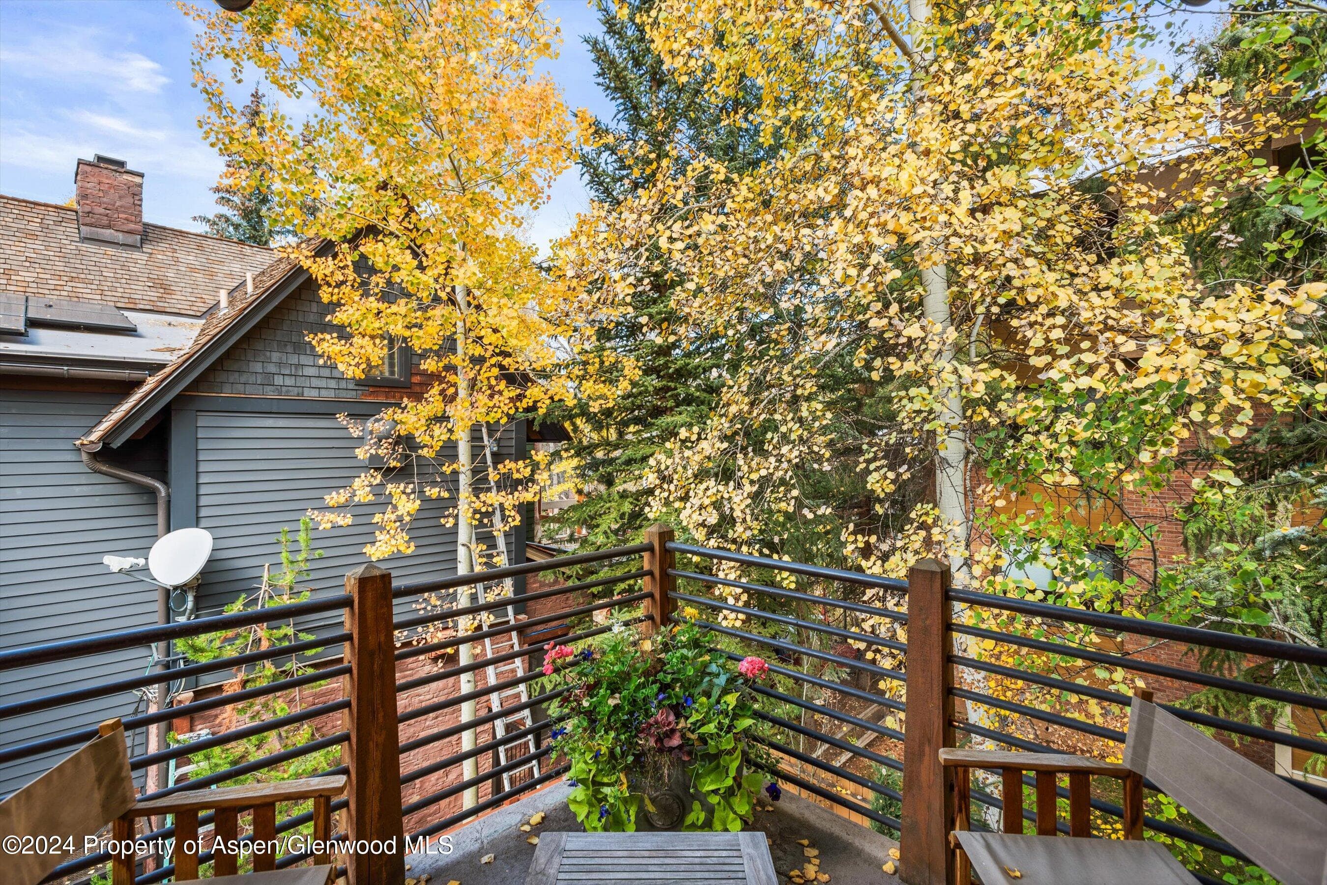 1016 E HOPKINS Avenue, Aspen, CO 81611 - Photo 7