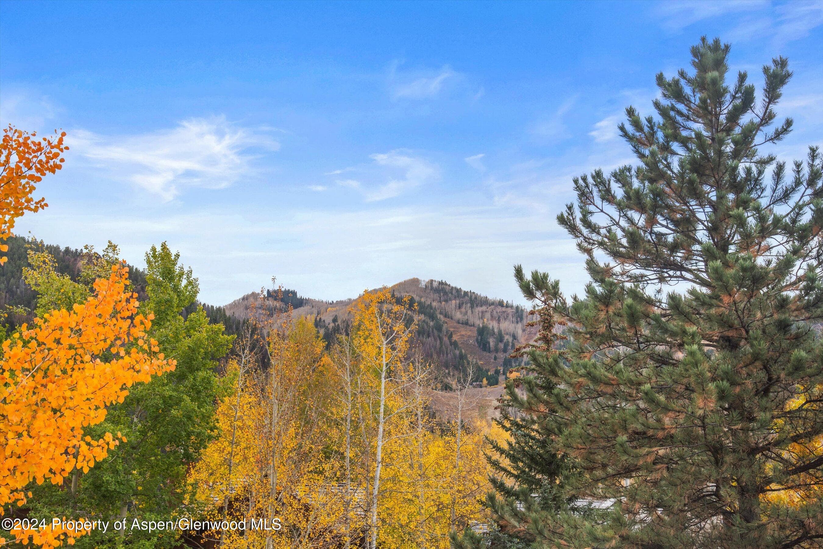 1016 E HOPKINS Avenue, Aspen, CO 81611 - Photo 57
