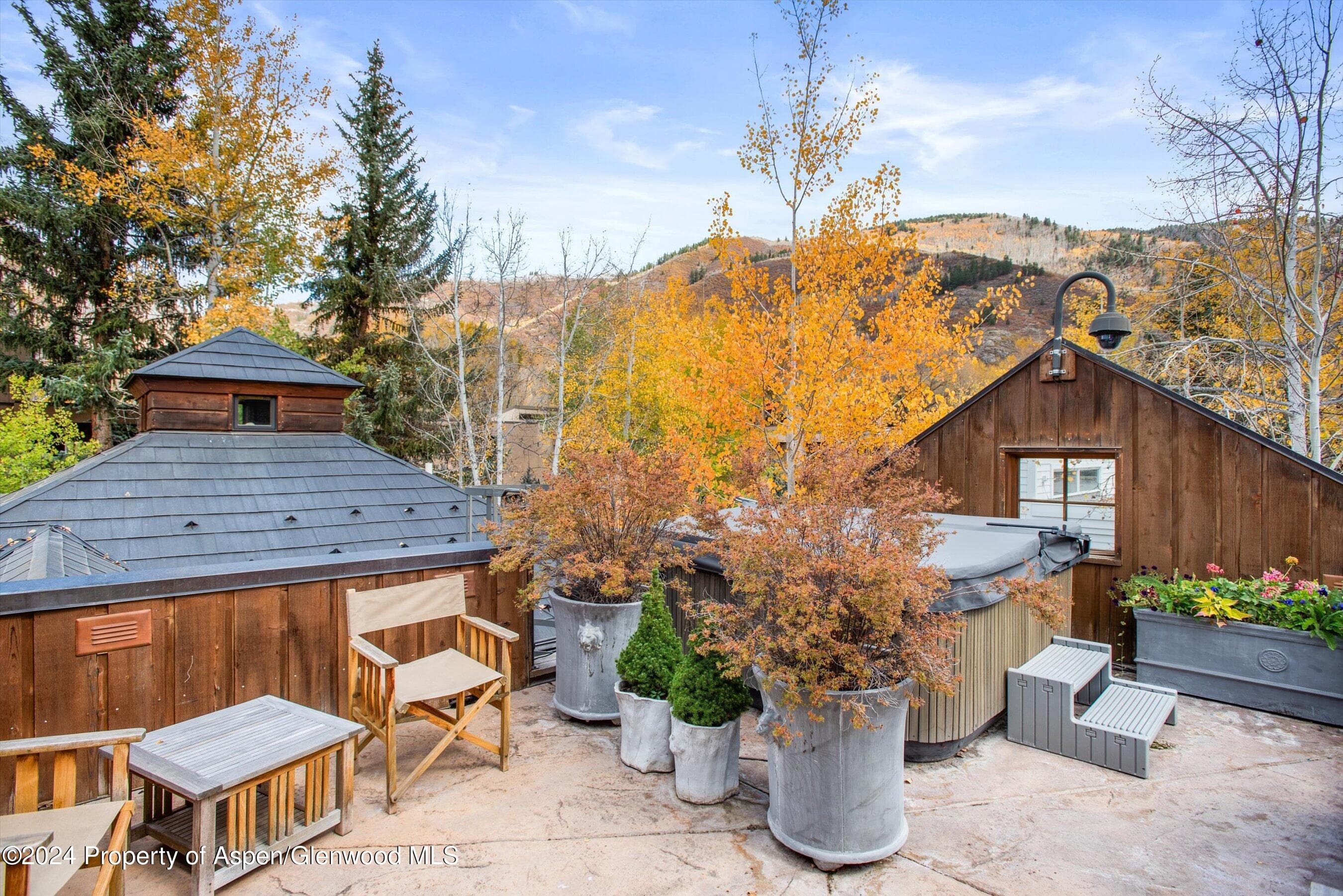 1016 E HOPKINS Avenue, Aspen, CO 81611 - Photo 58