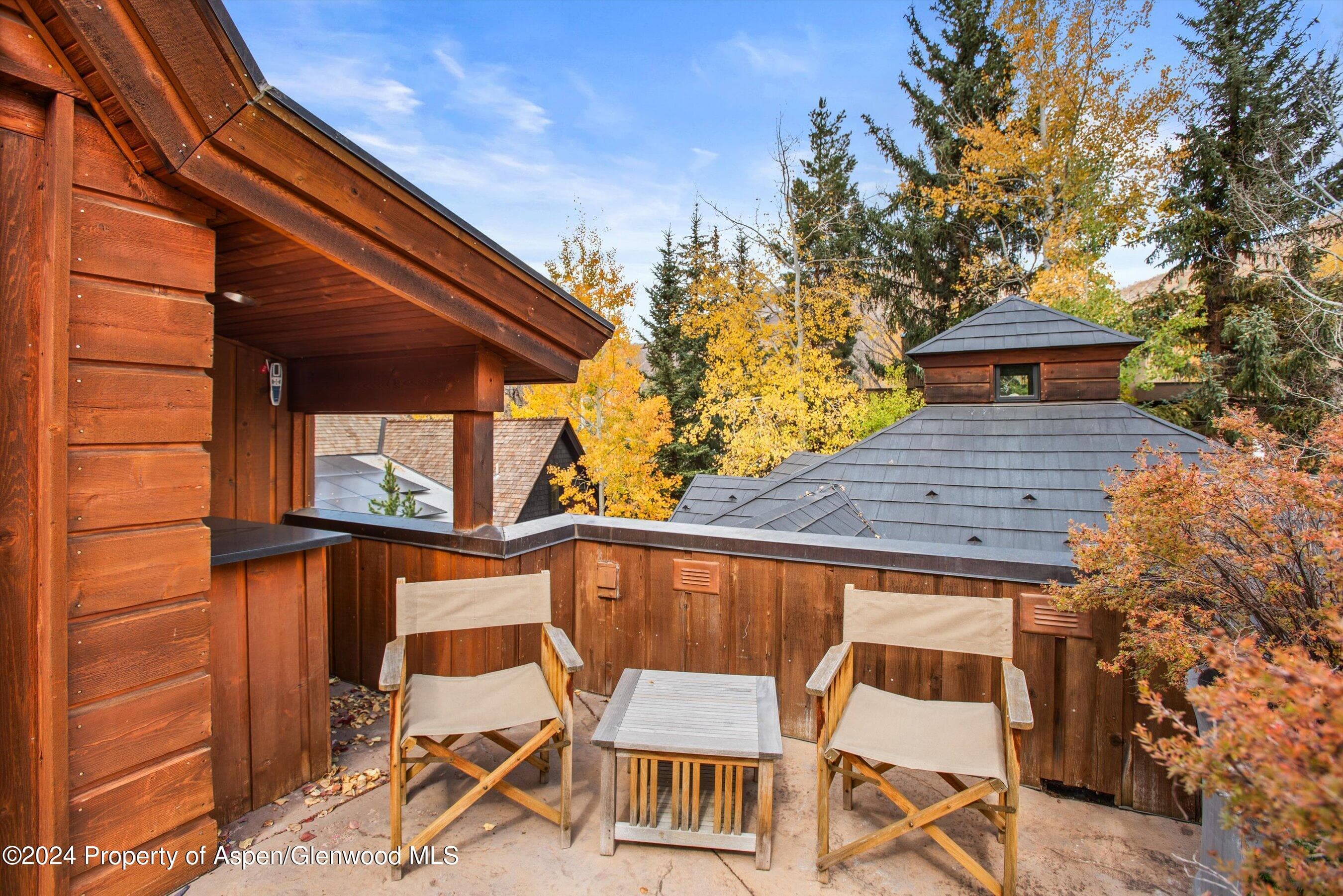 1016 E HOPKINS Avenue, Aspen, CO 81611 - Photo 60
