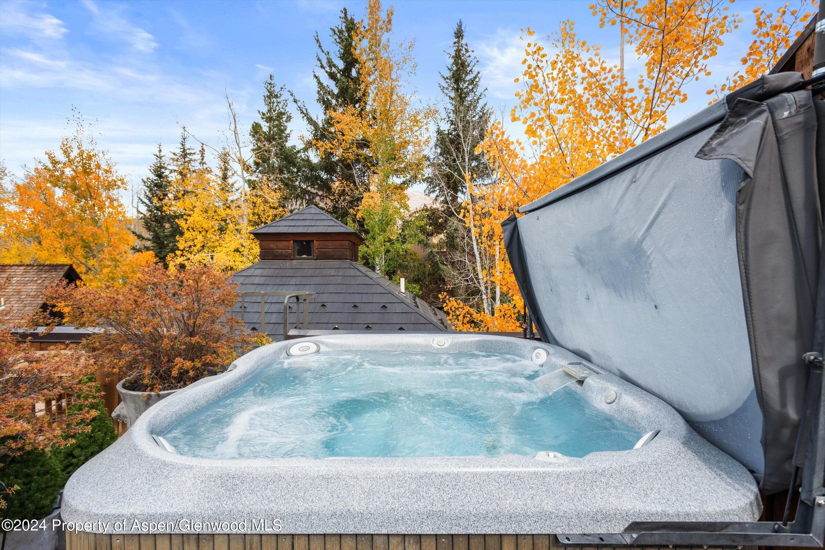 1016 E HOPKINS Avenue, Aspen, CO 81611 - Photo 5