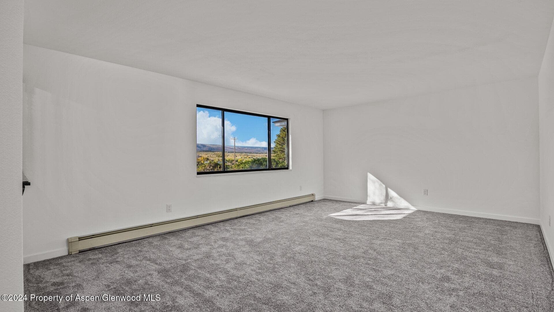 58892 E Highway 330, Collbran, CO 81624 - Photo 17