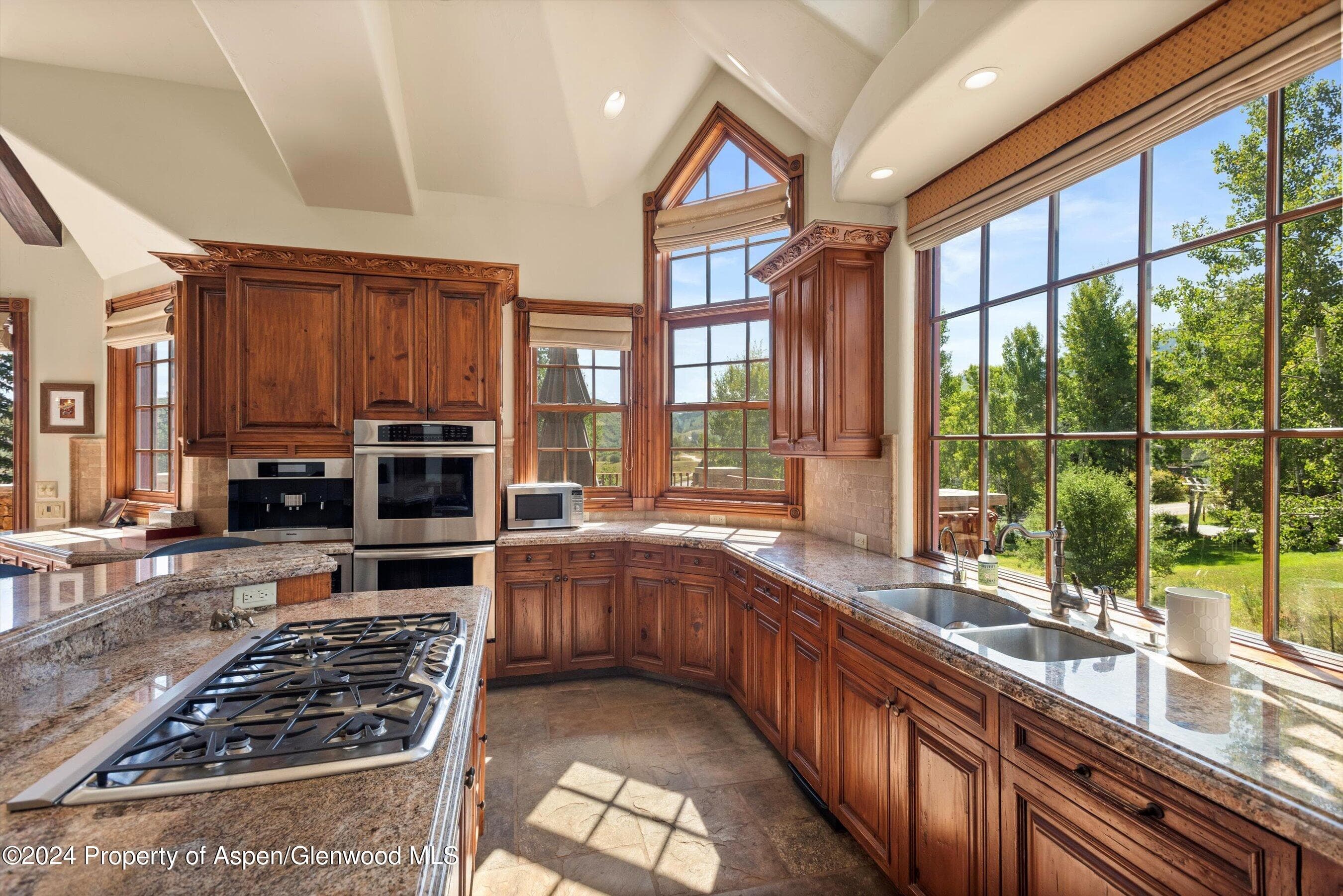 71 Meadow Road, Snowmass Village, CO 81615 - Photo 6