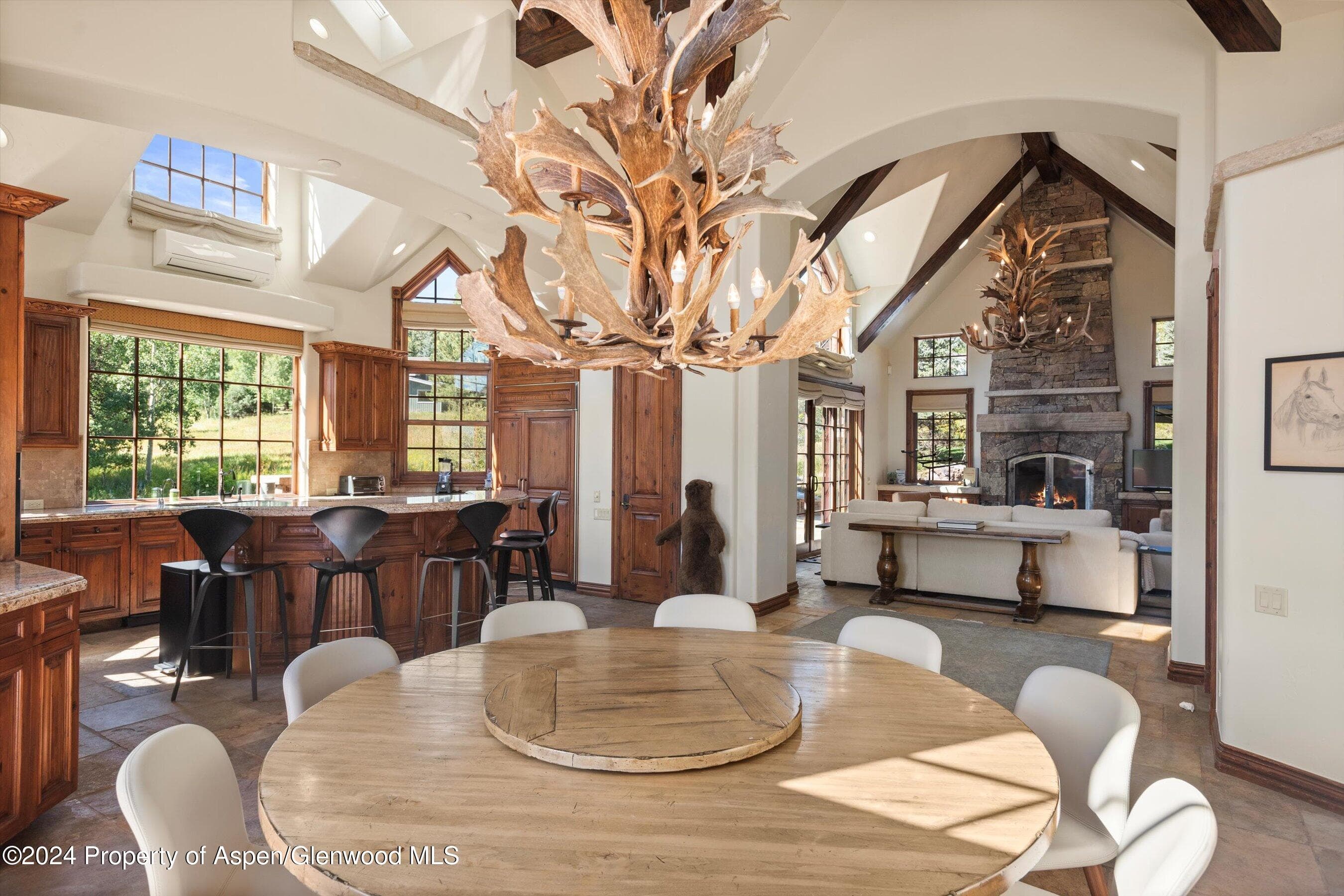 71 Meadow Road, Snowmass Village, CO 81615 - Photo 9