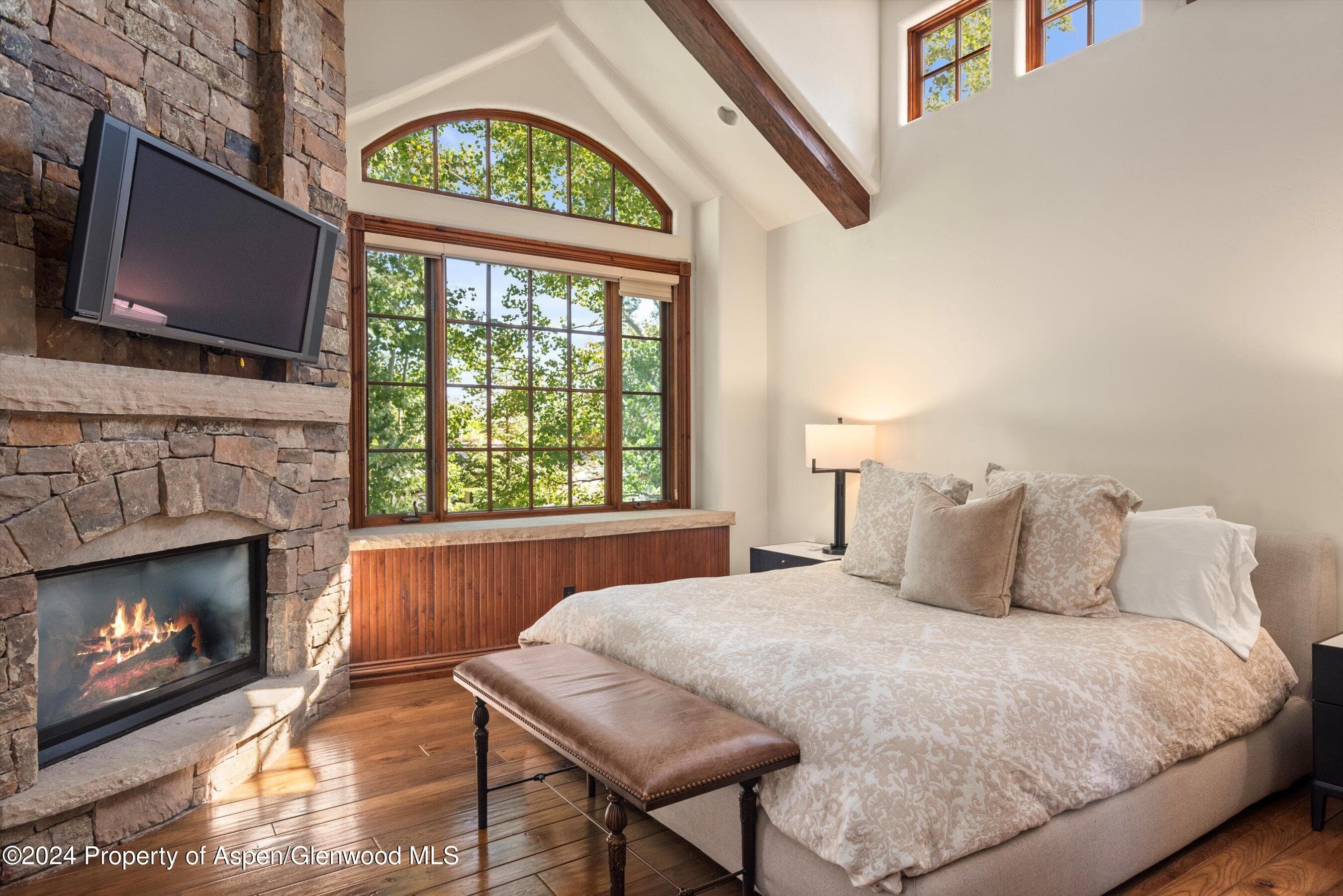 71 Meadow Road, Snowmass Village, CO 81615 - Photo 12