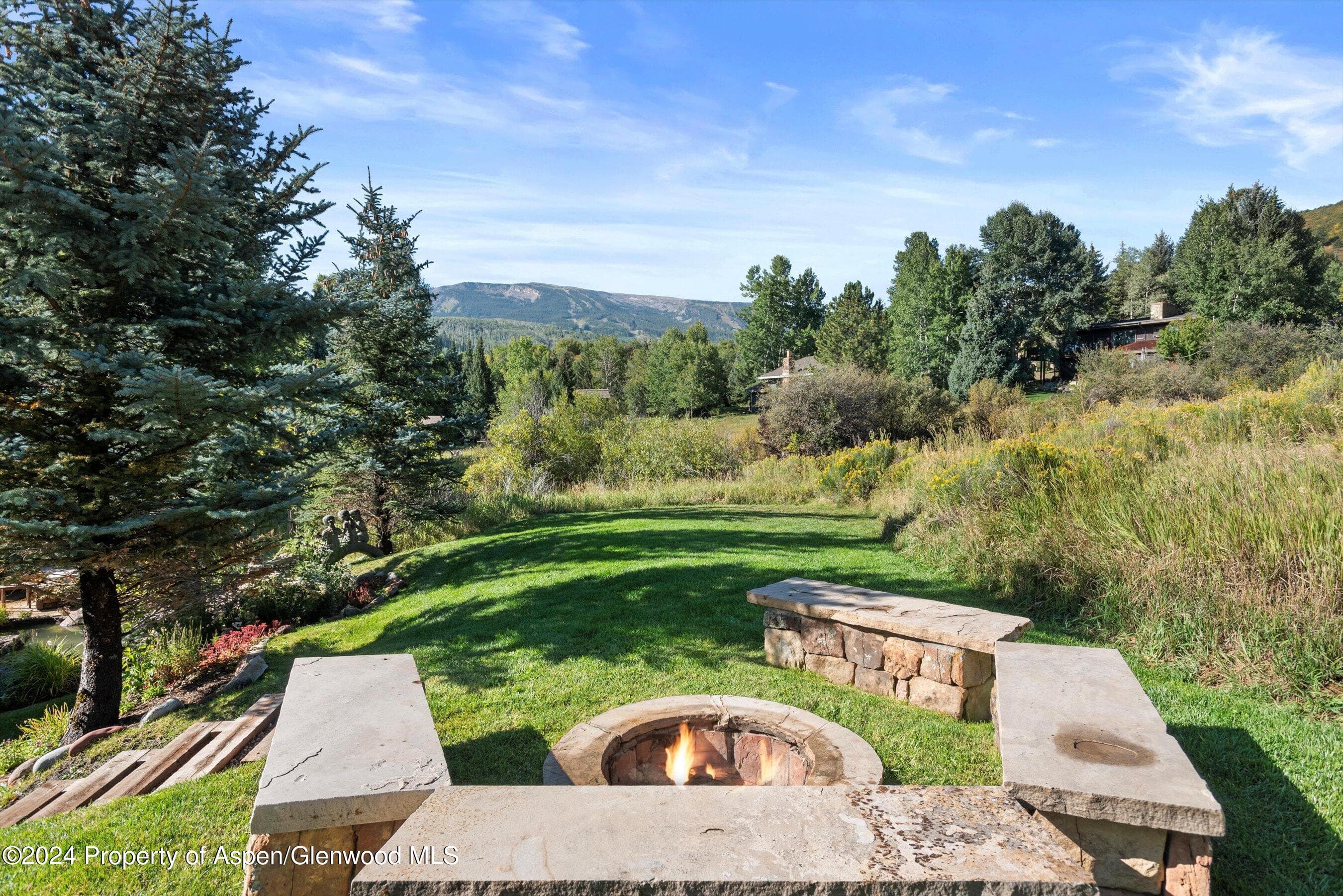 71 Meadow Road, Snowmass Village, CO 81615 - Photo 39