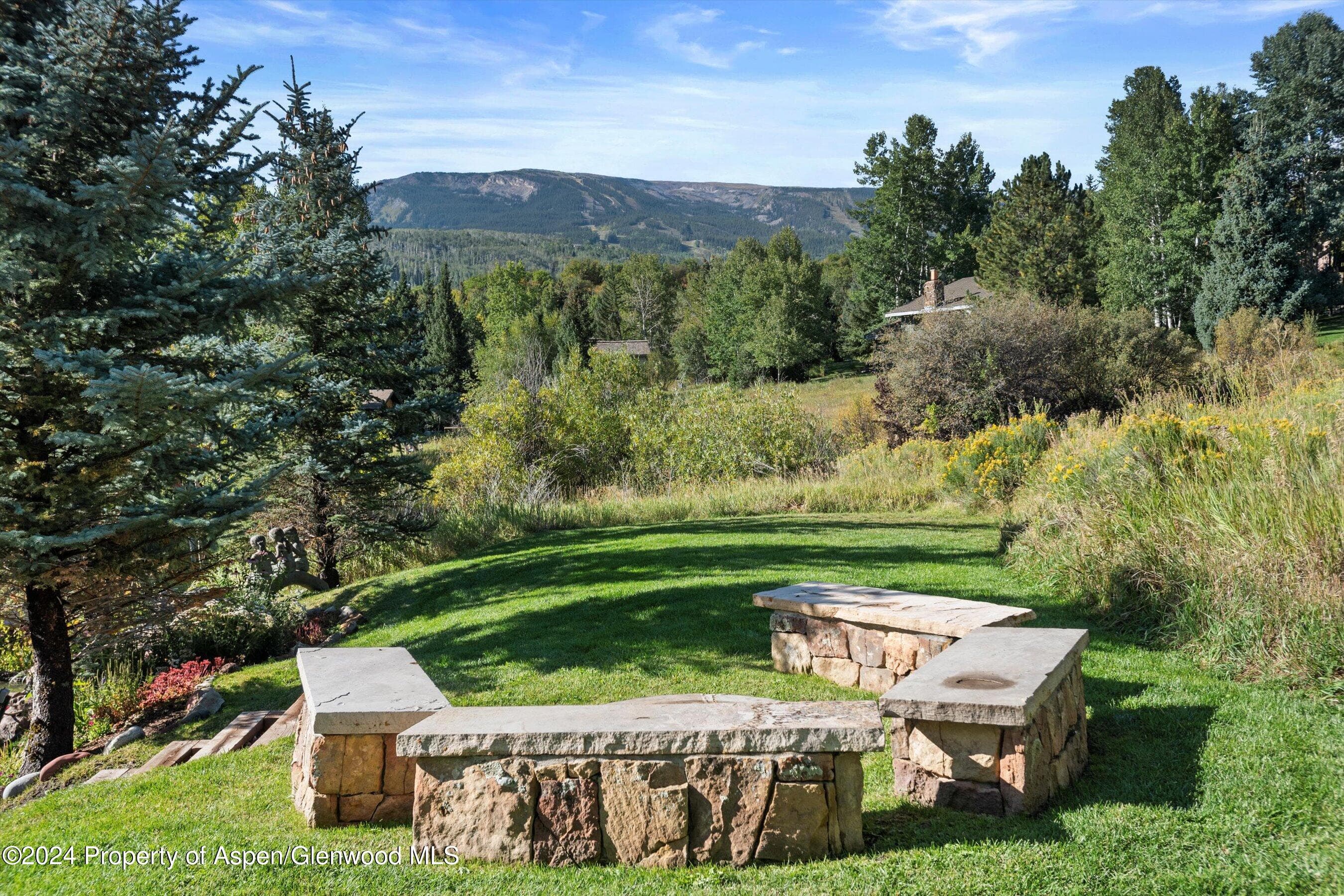 71 Meadow Road, Snowmass Village, CO 81615 - Photo 40