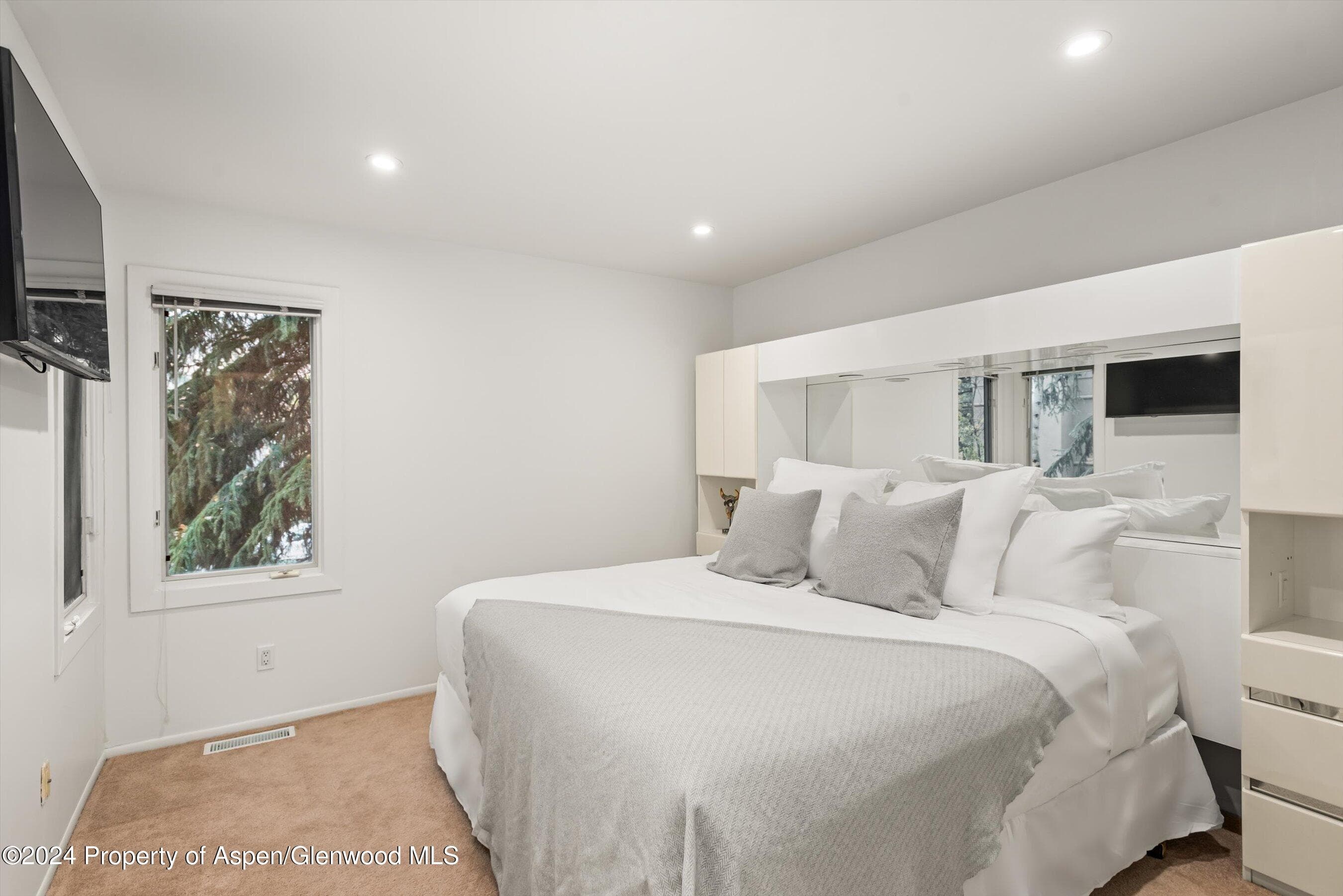 814 W Bleeker Street D1, Aspen, CO 81611 - Photo 13